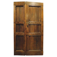 Used Rustic Double-Wing Door, in Larch with Carved Panels, 19th Century Italy