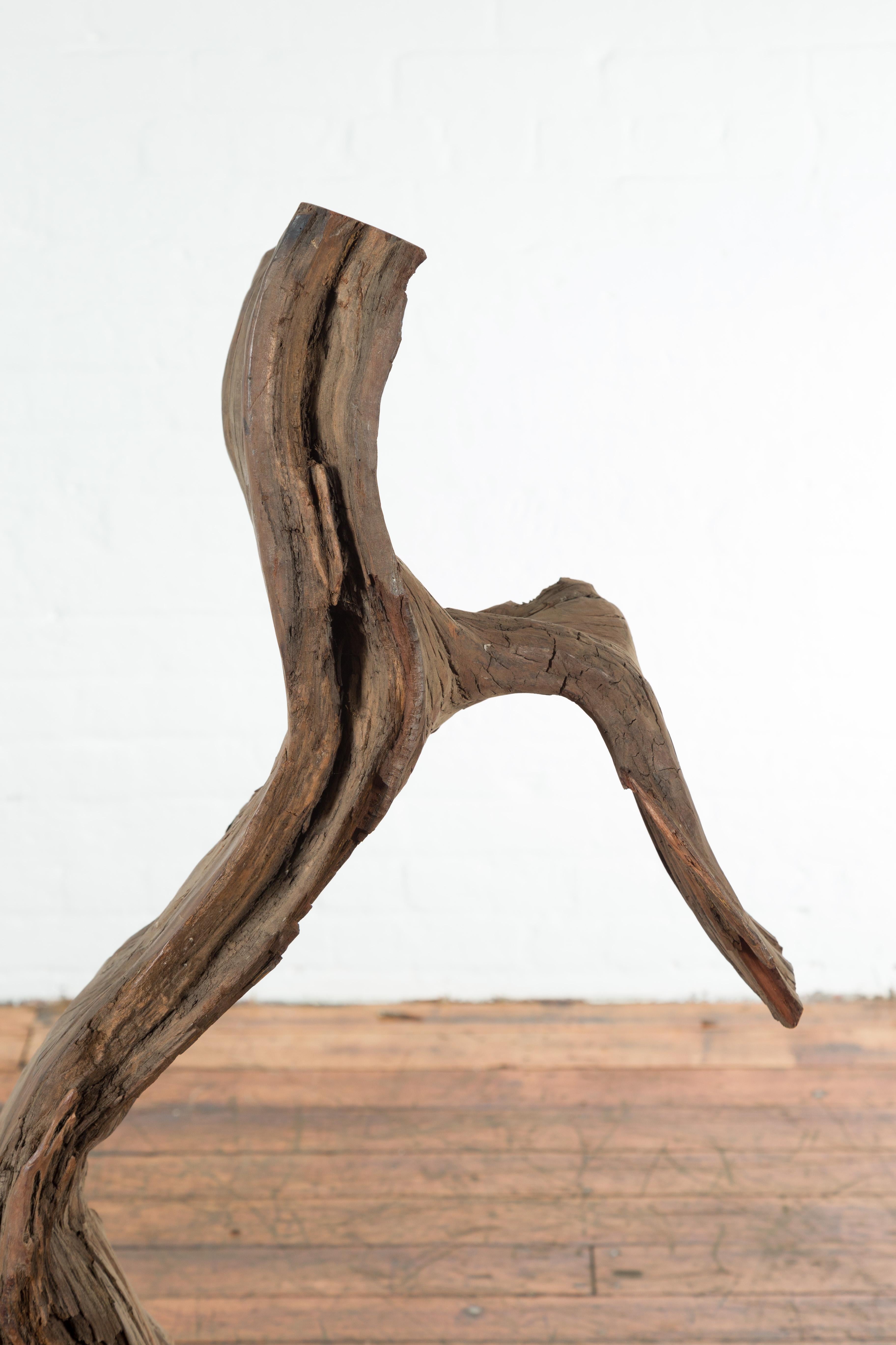 Un fragment de bois de rivière indonésien antique qui pourrait être utilisé comme sculpture ou banc décoratif. Cette sculpture d'arbre charismatique a été trouvée près d'une rivière et présente une Silhouette rustique, haute et étroite. Parfaite