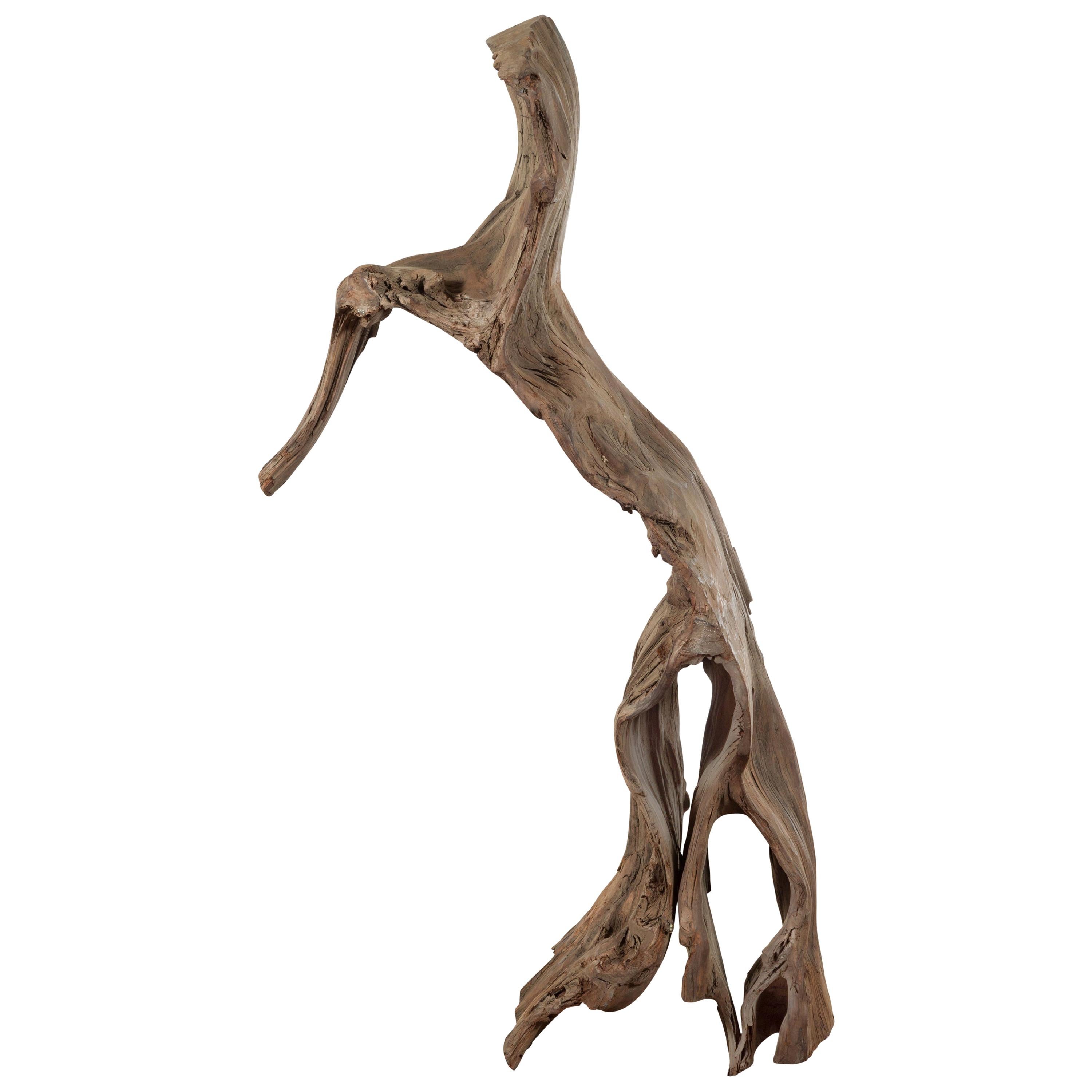Antico frammento di legno di fiume indonesiano, scultura o panca decorativa