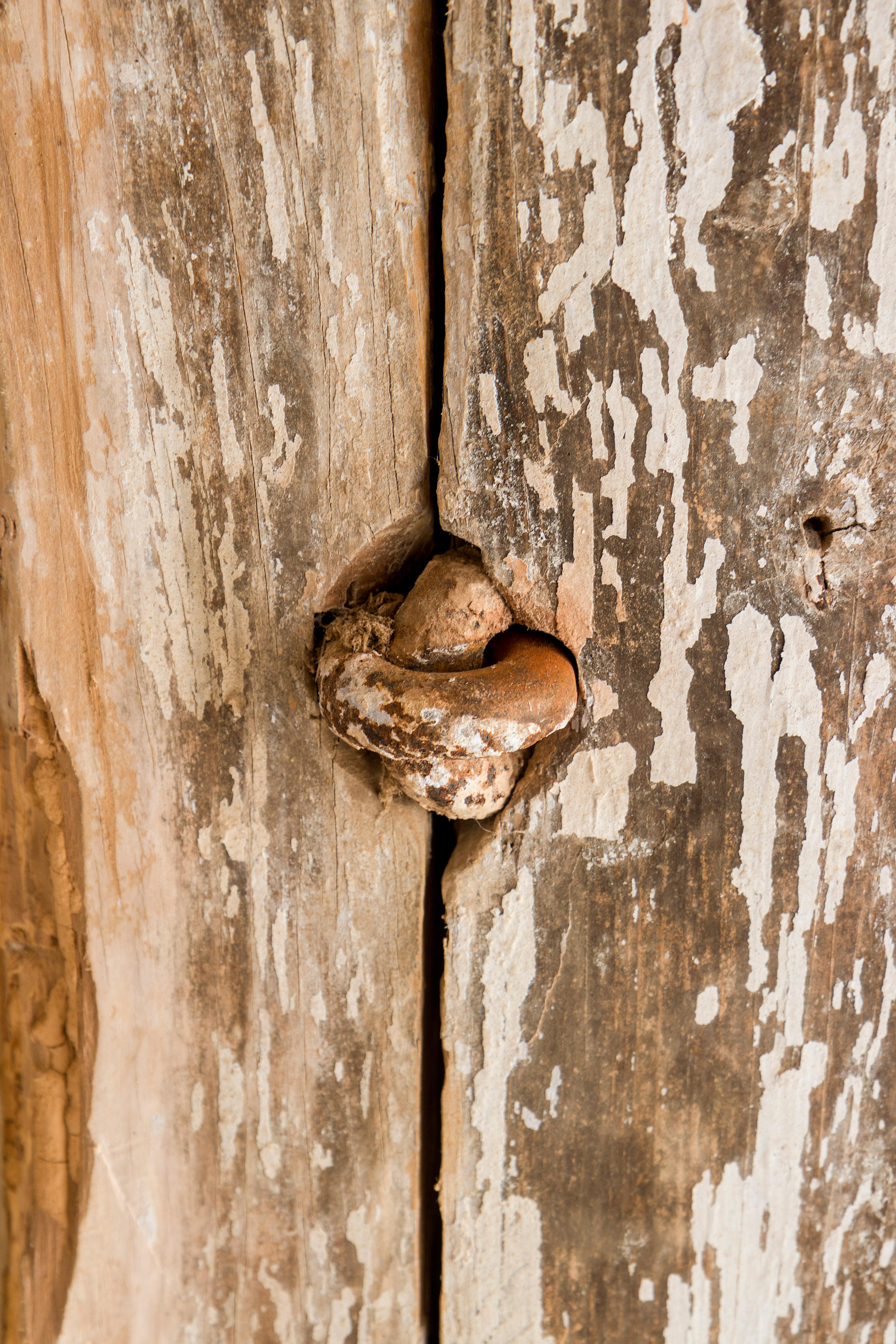 Patiné Ancienne porte rustique en Oak, Circa XVI Century, Espagne en vente