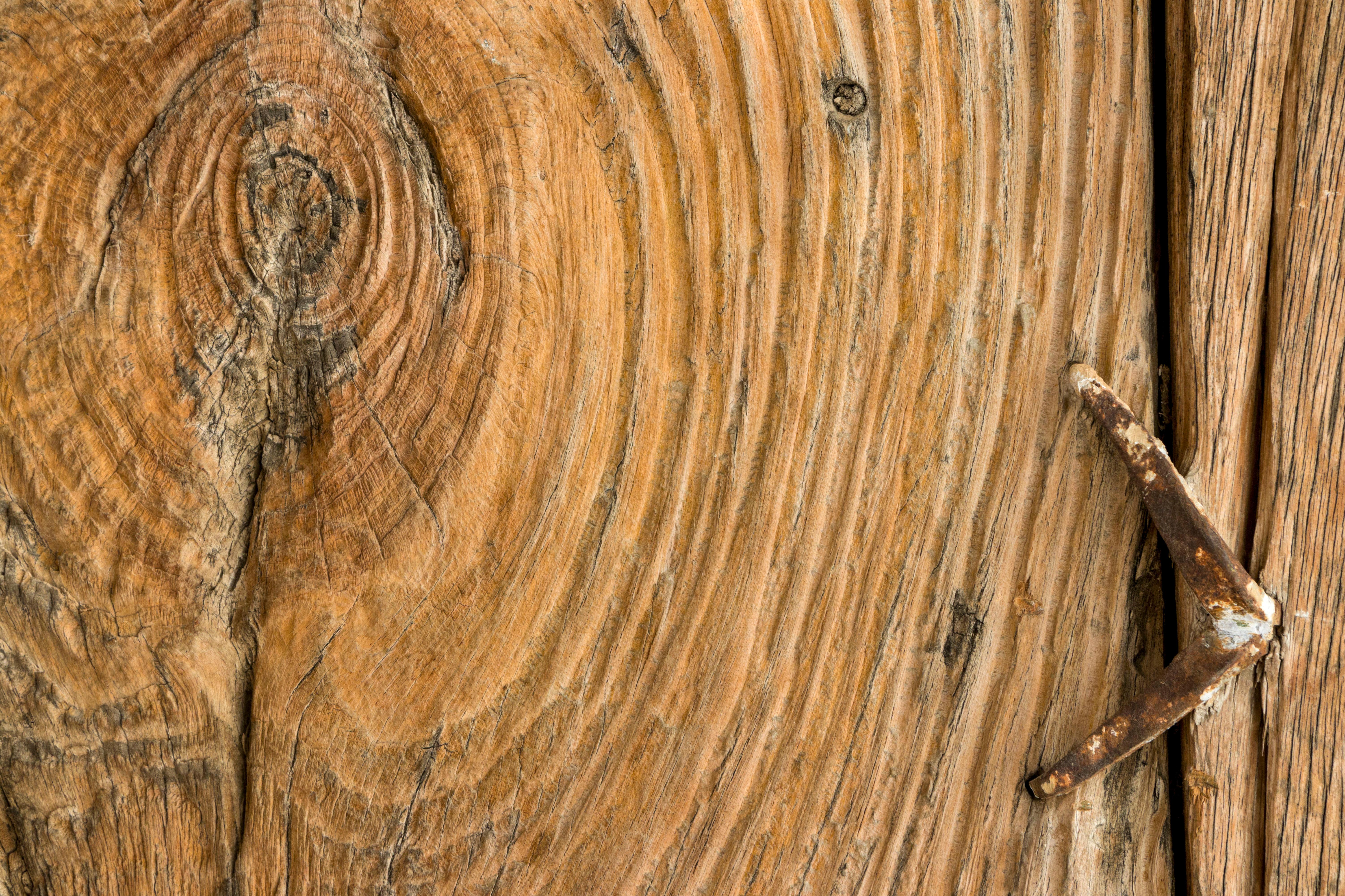 XVIIIe siècle et antérieur Ancienne porte rustique en Oak, Circa XVI Century, Espagne en vente