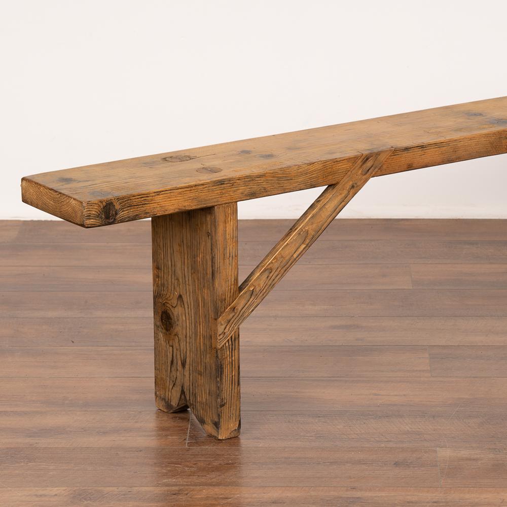 19th Century Antique Rustic Plank Pine Bench from Hungary, circa 1890