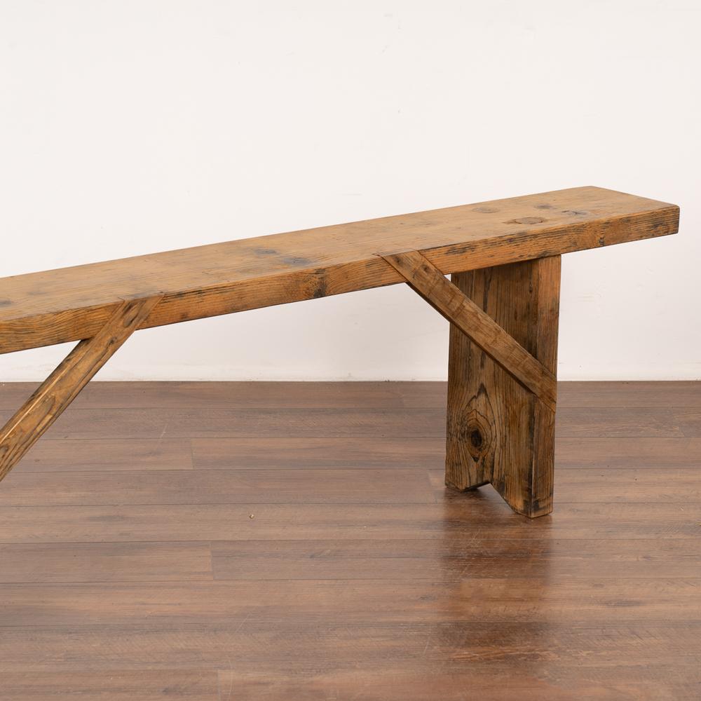 Antique Rustic Plank Pine Bench from Hungary, circa 1890 1