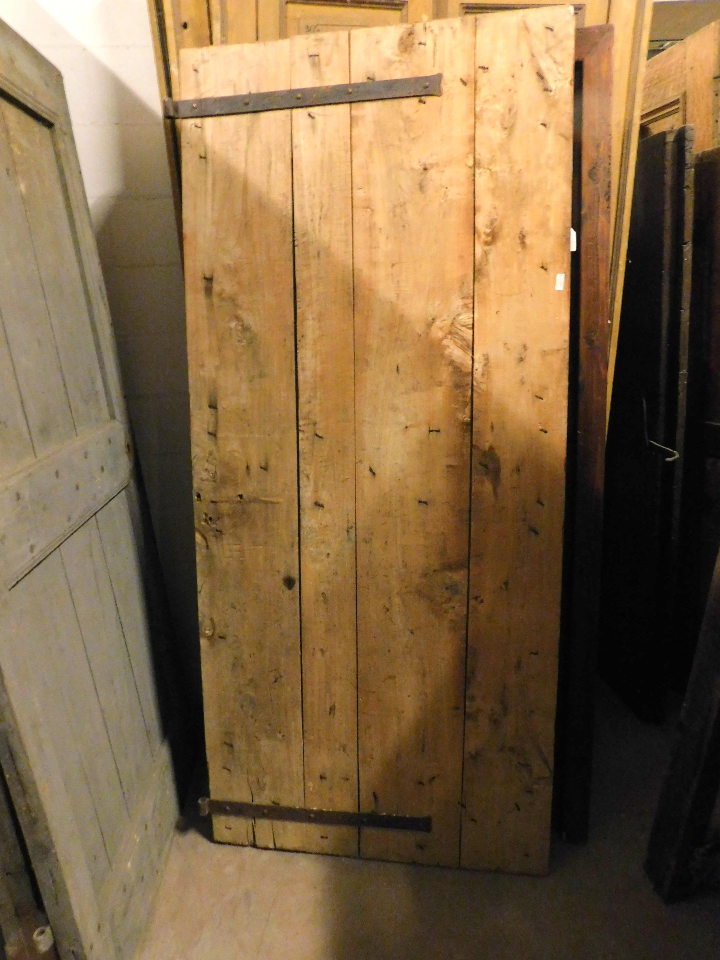 Italian Antique Rustic Poplar Door, 19th Century, Italy For Sale