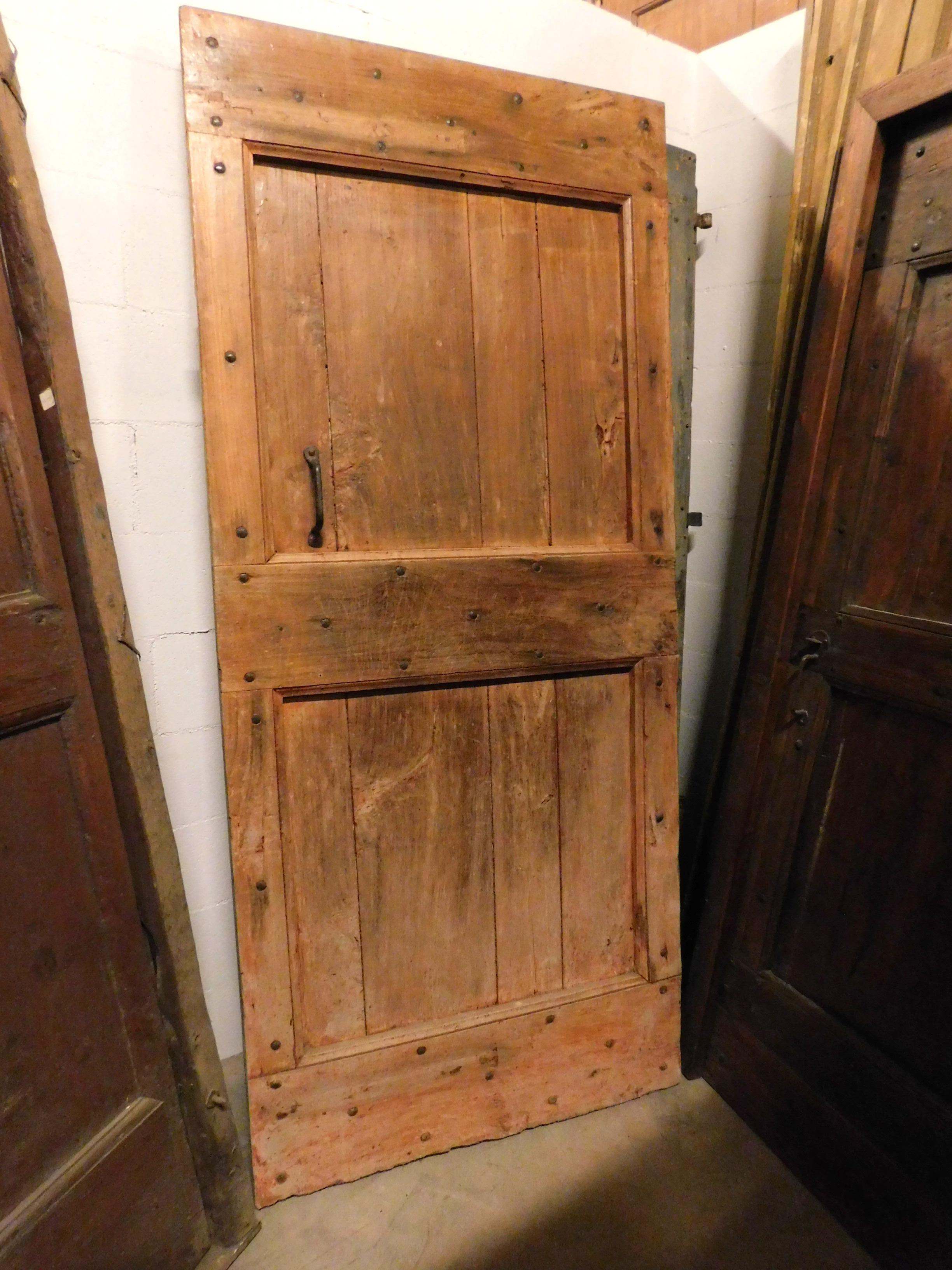 Hand-Carved Antique Rustic Poplar Door, 19th Century, Italy For Sale