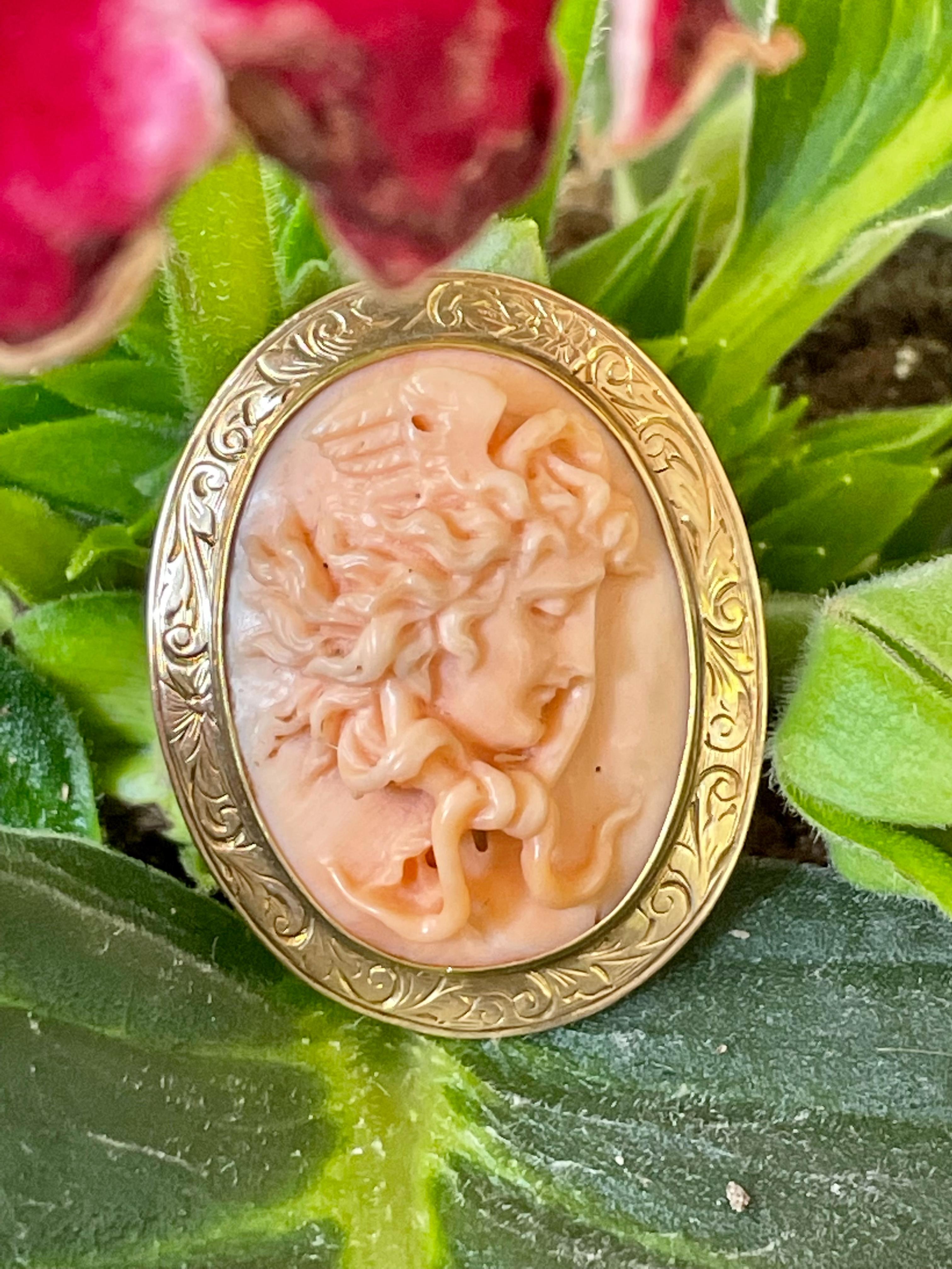 This vintage piece, depicting Medusa, can be worn as either a brooch or a pendant.  It features an oval cameo carved from Salmon Coral.  

The setting is 14 karat yellow Gold.

Weight:  9.34 grams

Size:  38 x 30mm ( 1-3/8