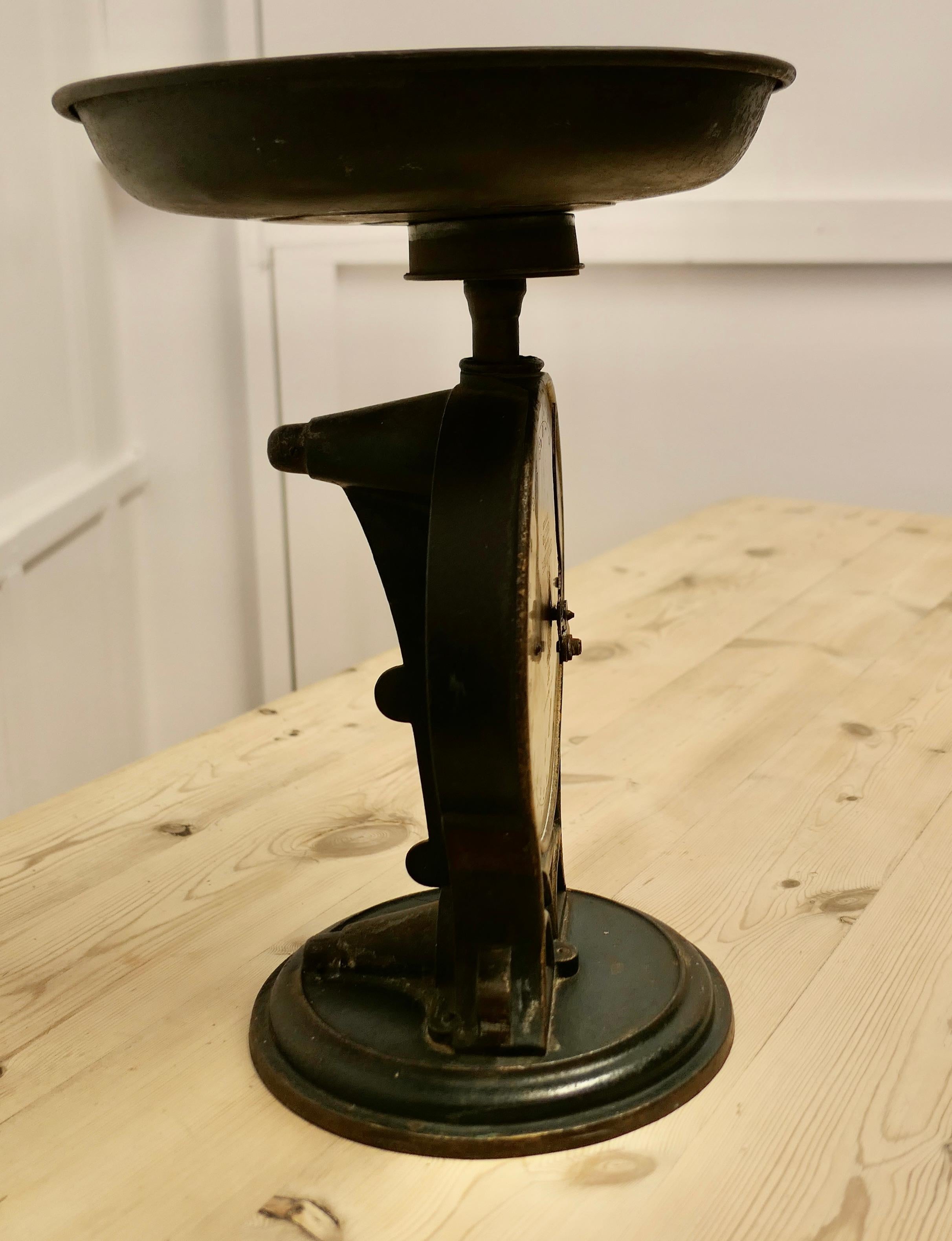 Antique Salter Family Scales No 50 a Well Loved and Used Family Scales For Sale 1