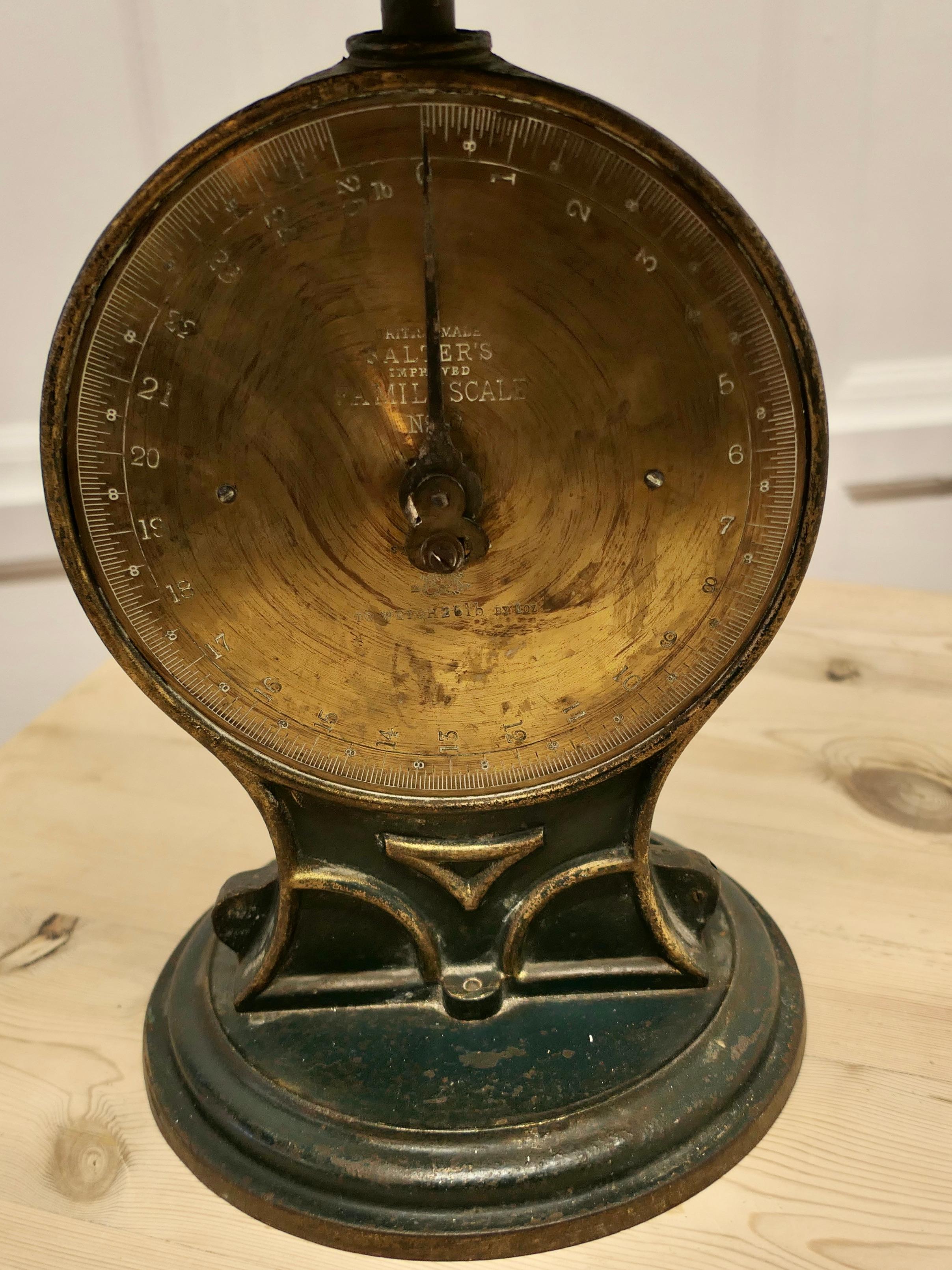 salters family scale no 50
