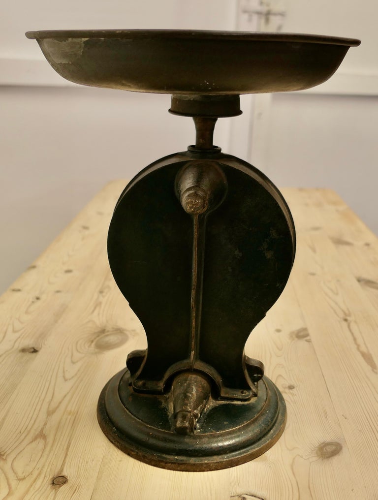 Salters family scale top