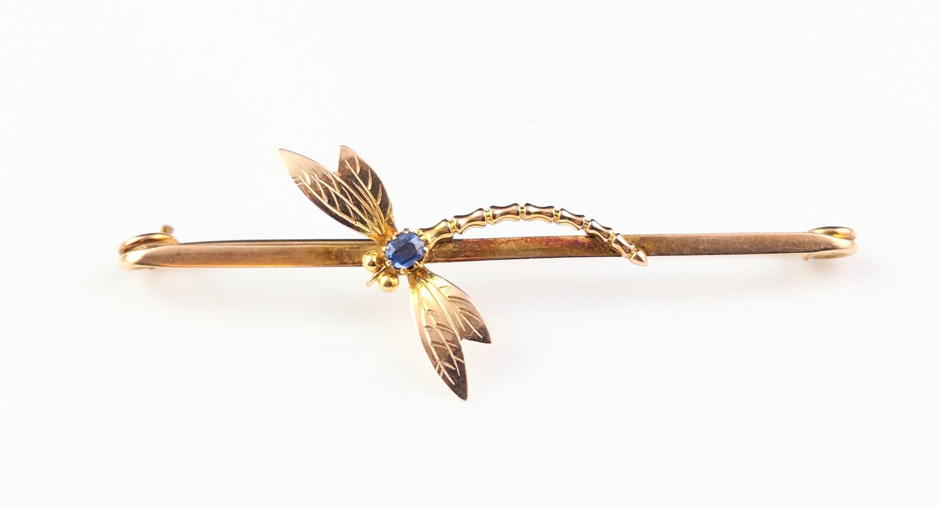 Antique Sapphire Dragonfly brooch, 9k yellow gold, Art Nouveau  8
