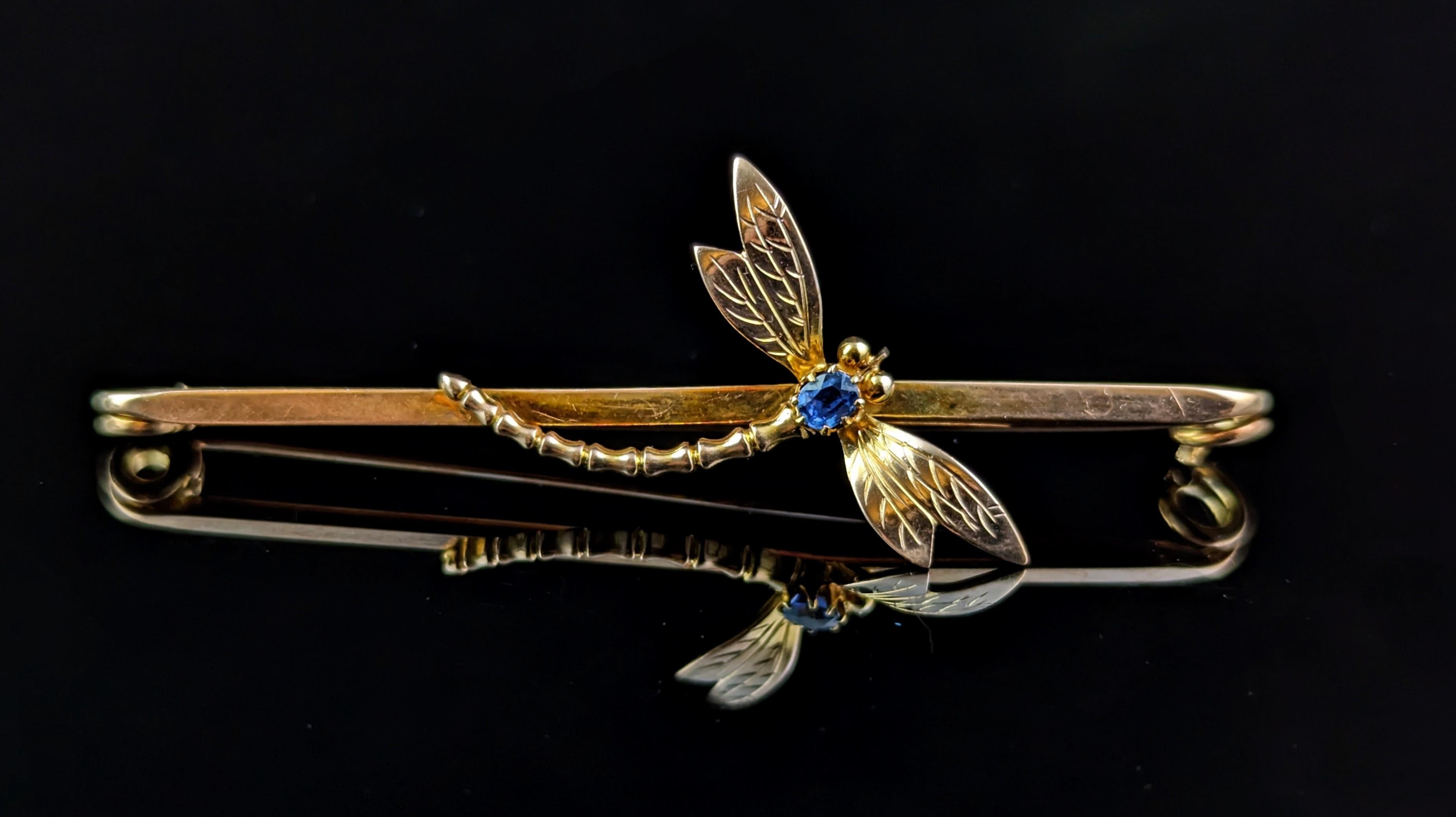 The Art Nouveau saw a boom in dragonfly themed jewellery such this beautiful 9ct gold and sapphire brooch.

Earlier in the period the dragonfly pieces were often loaded with gemstones and diamonds and were very expensive to own but due to the