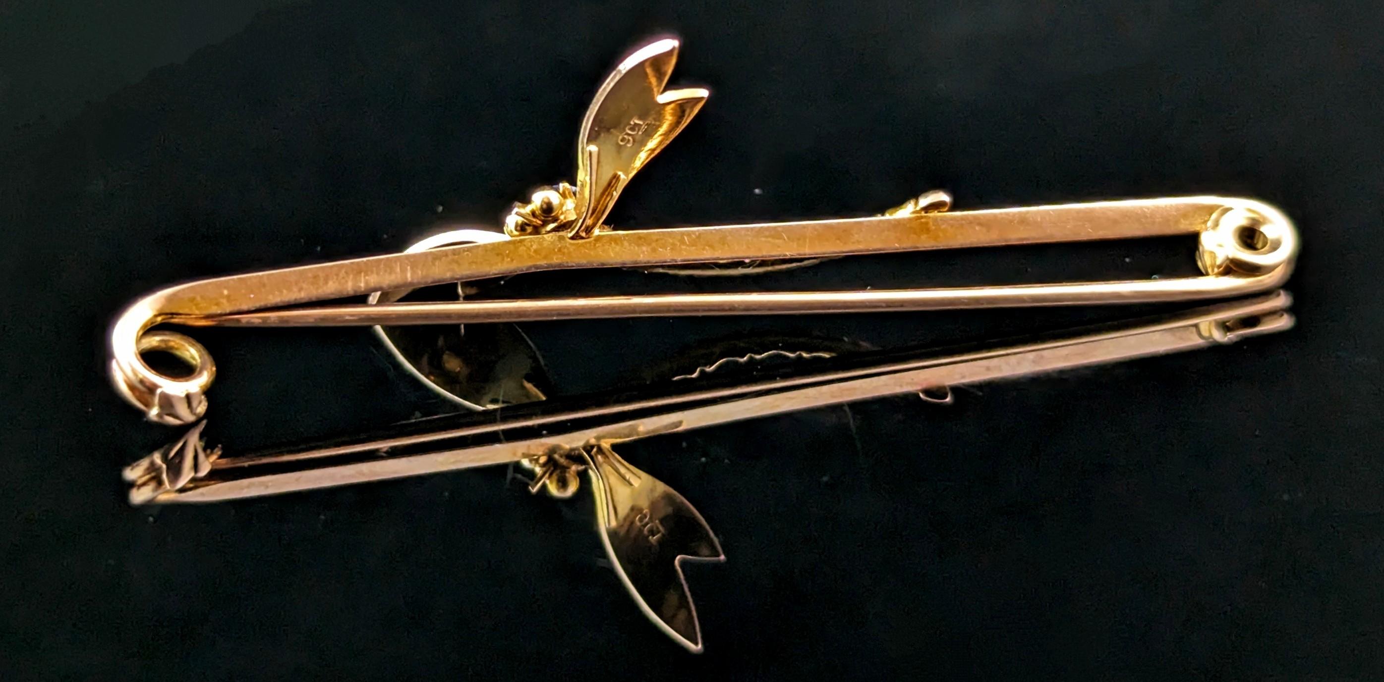 Antique Sapphire Dragonfly brooch, 9k yellow gold, Art Nouveau  1