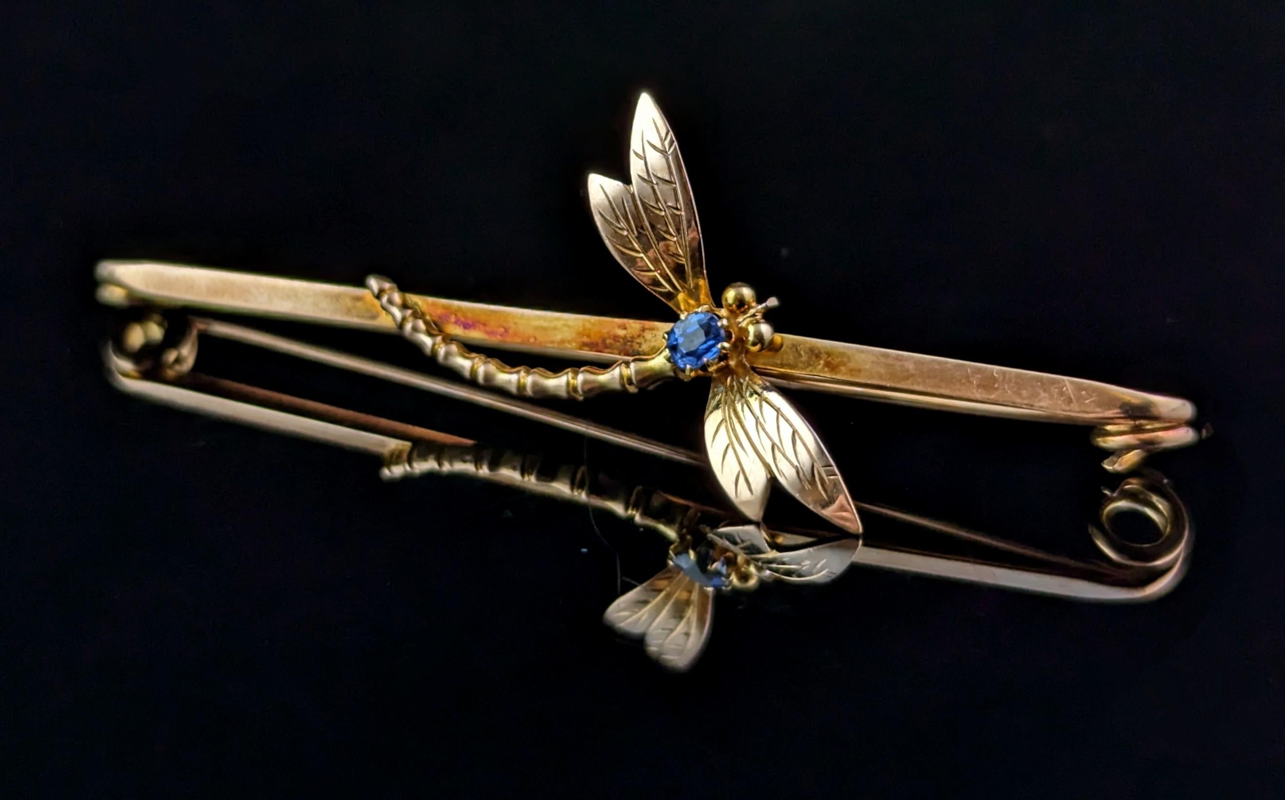 Antique Sapphire Dragonfly brooch, 9k yellow gold, Art Nouveau  2
