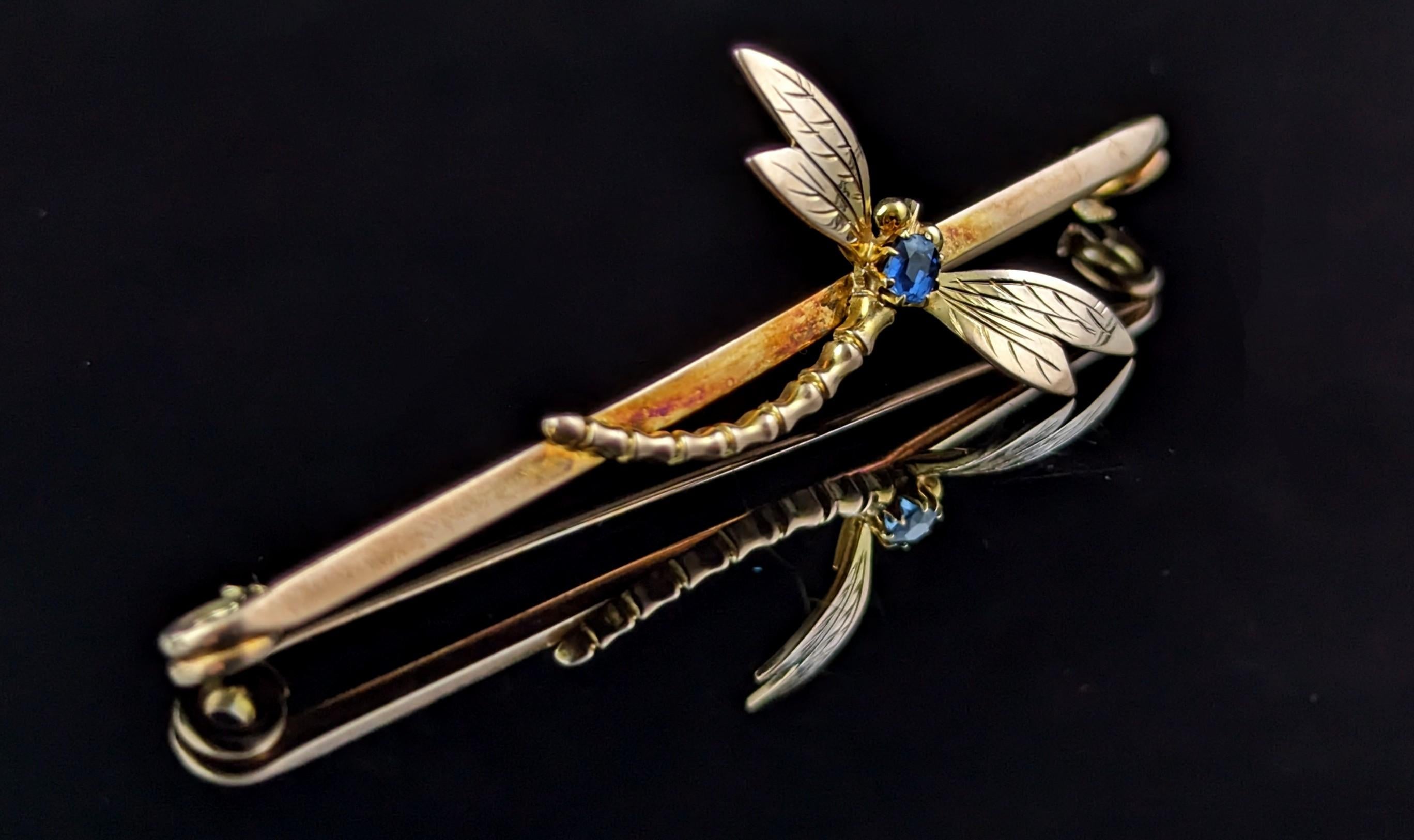 Antique Sapphire Dragonfly brooch, 9k yellow gold, Art Nouveau  3