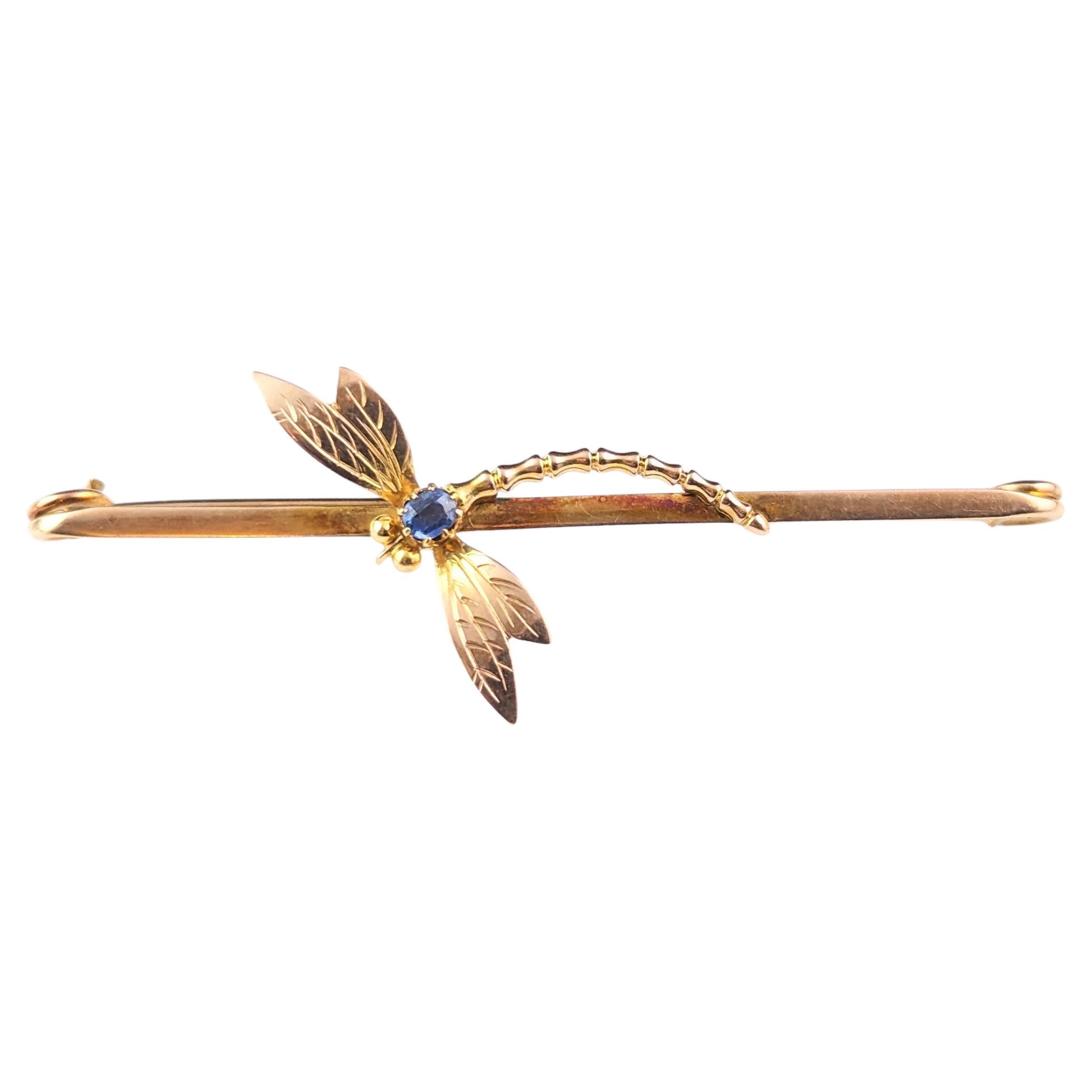 Antique Sapphire Dragonfly brooch, 9k yellow gold, Art Nouveau 