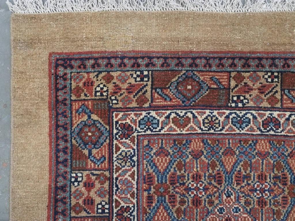 Antico runner Sarab persiano nord-occidentale con fondo in lana di cammello
Circa 1880

Il runner ha un design classico con quattro piccoli medaglioni dal fondo avorio che contengono un disegno floreale, su un fondo color cammello ricoperto da un