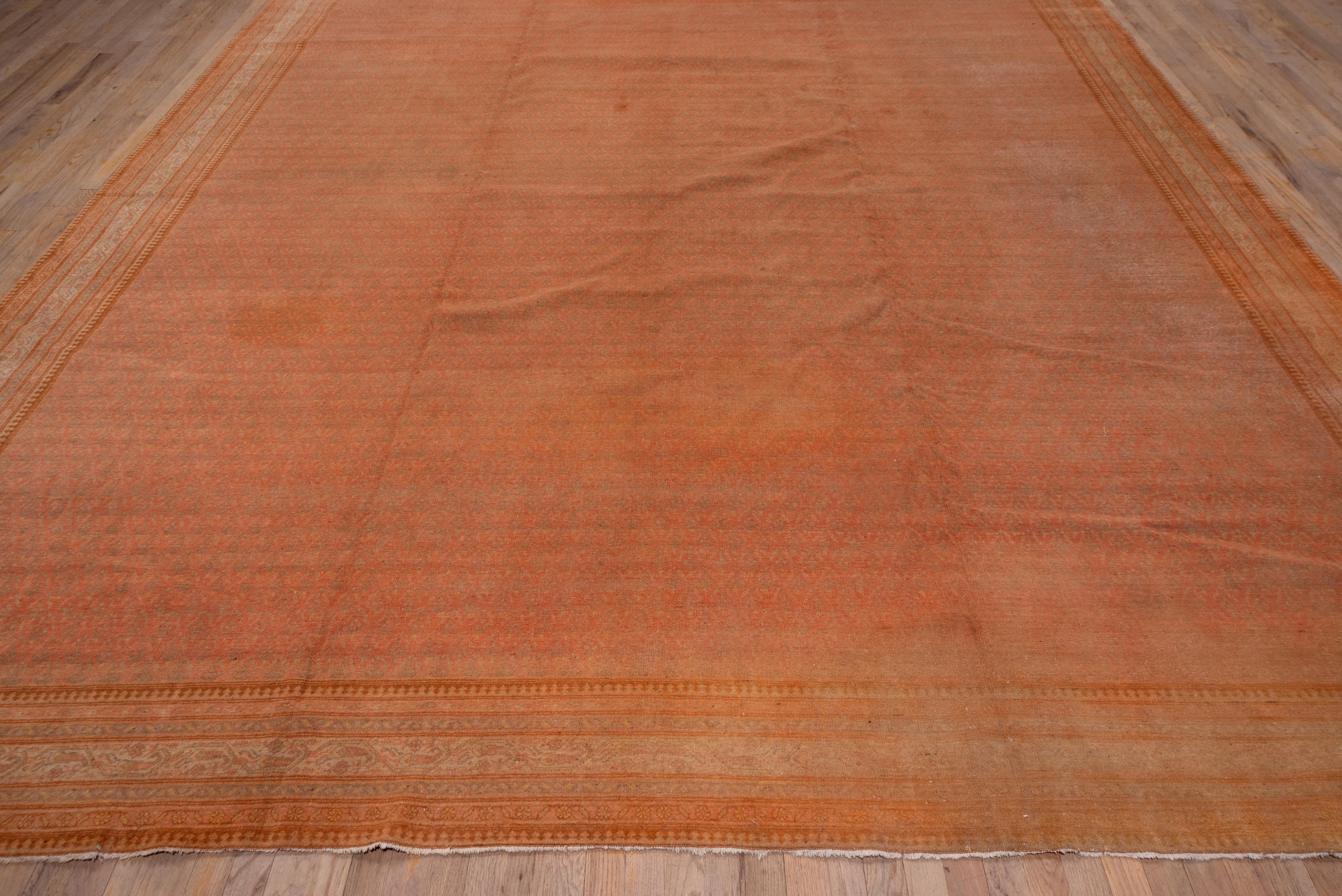 This generally warm and golden toned, softly colored northern Indian well-woven urban carpet shows a pattern of small, leftward facing floriated botehs on a burnt apricot-rust field, set within seven narrow borders of which the central band in sand