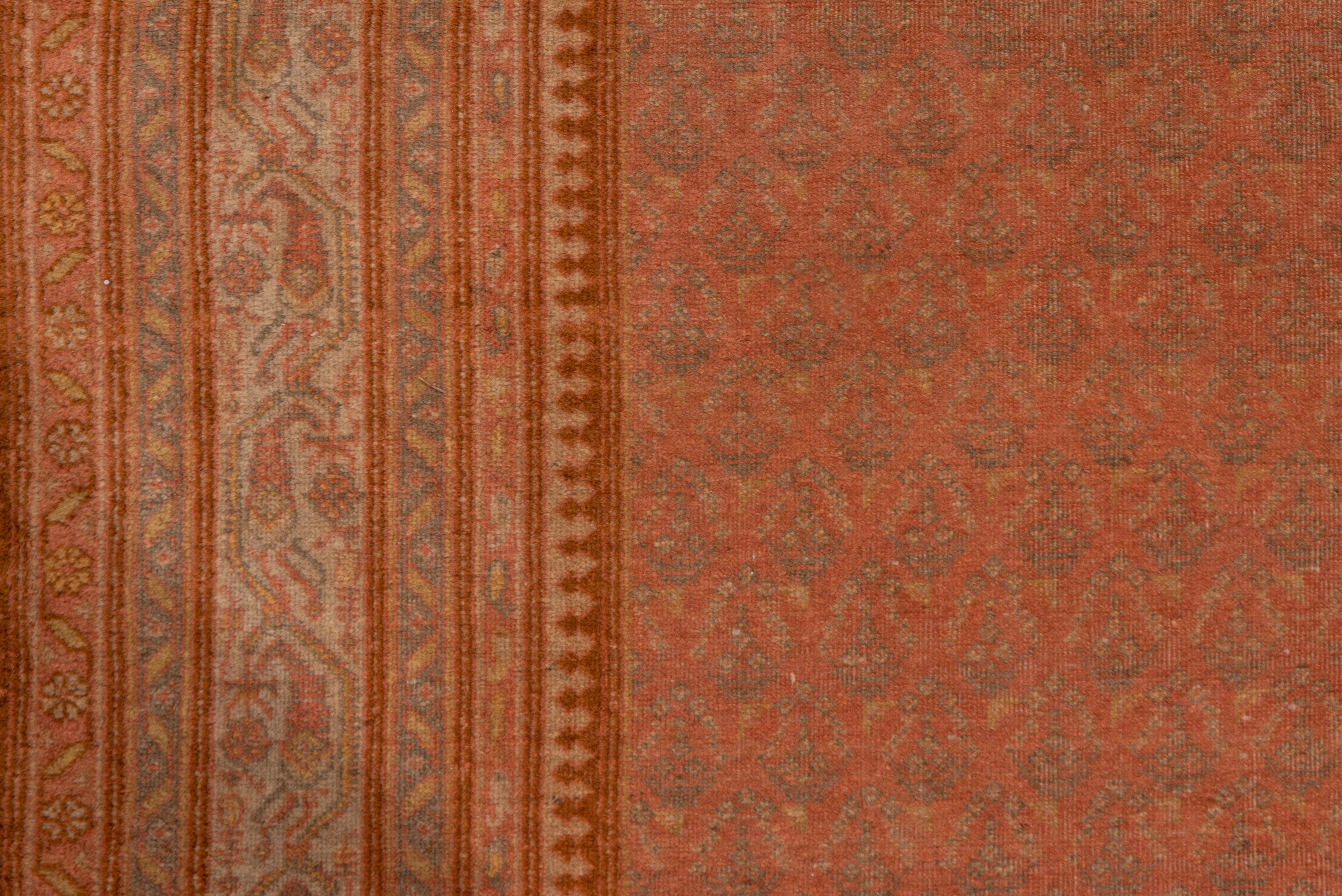 Hand-Knotted Antique Saraband Design Carpet, Orange Tones, Indian Origin, circa 1920s For Sale