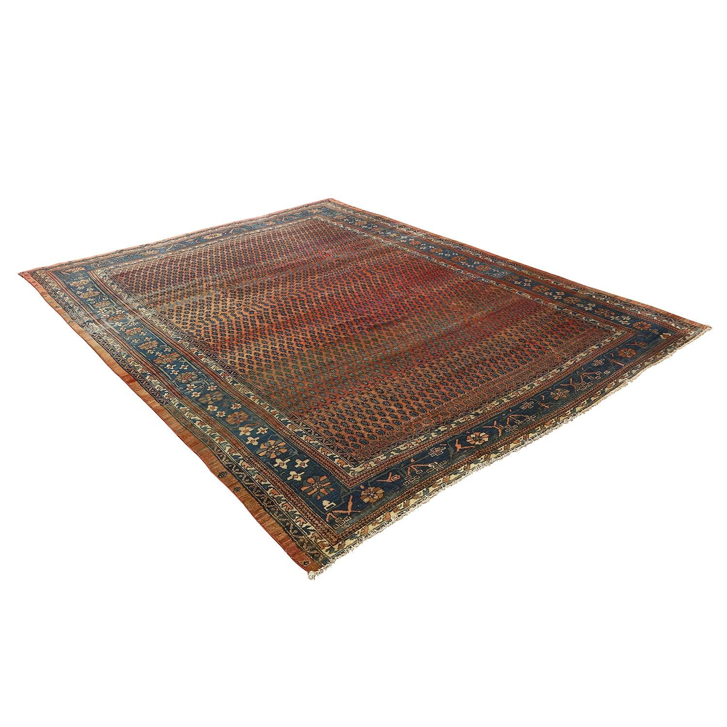 Alfombra Saraband Antigua - Tamaño: 8'4 X 10'4 Persa en venta