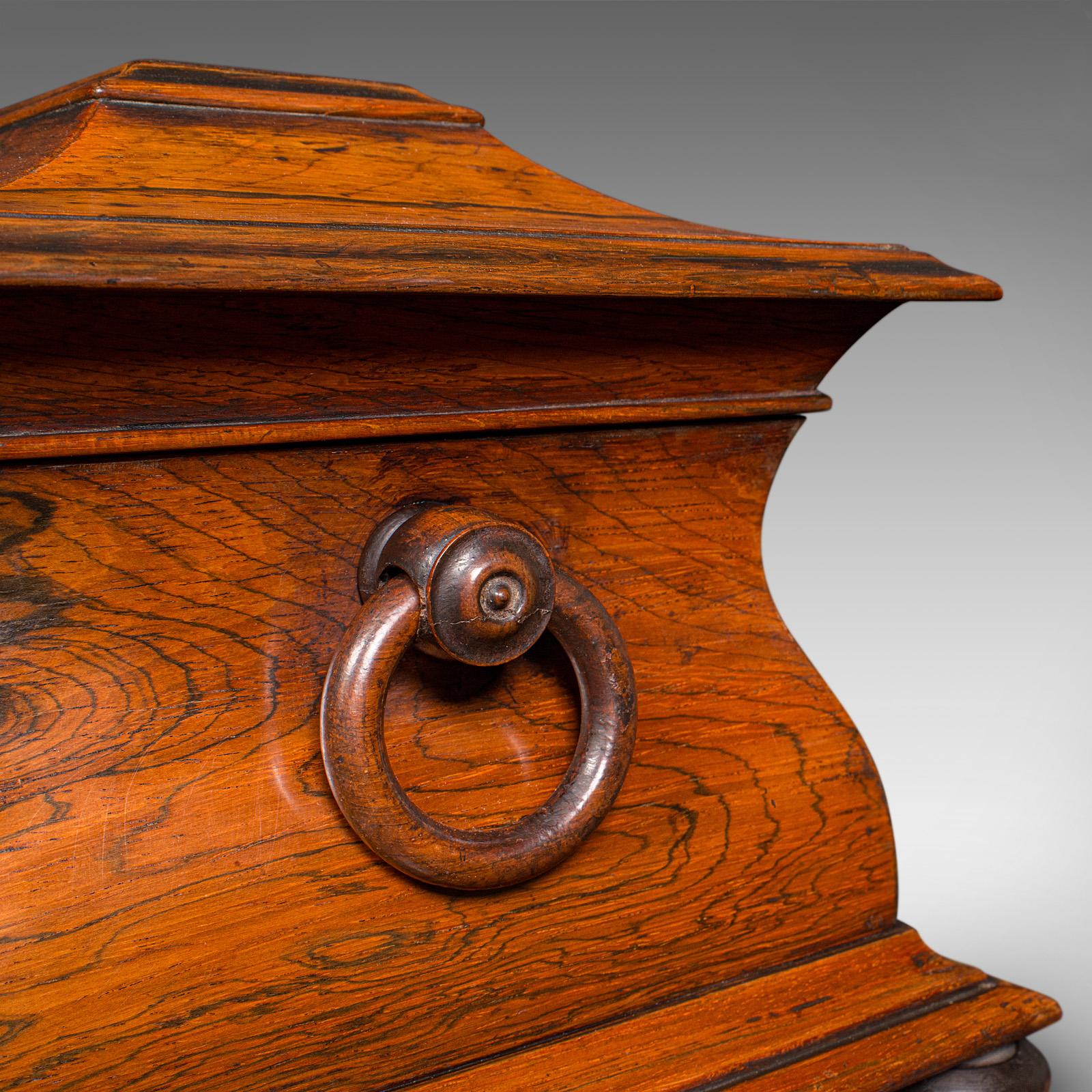 Ancienne boîte à thé à feuilles libres Sarcophagus, salle à dessin, anglaise, Régence, vers 1820 en vente 5