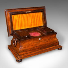 Antique Sarcophagus Loose Leaf Tea Caddy, Drawing Room, English, Regency, C.1820