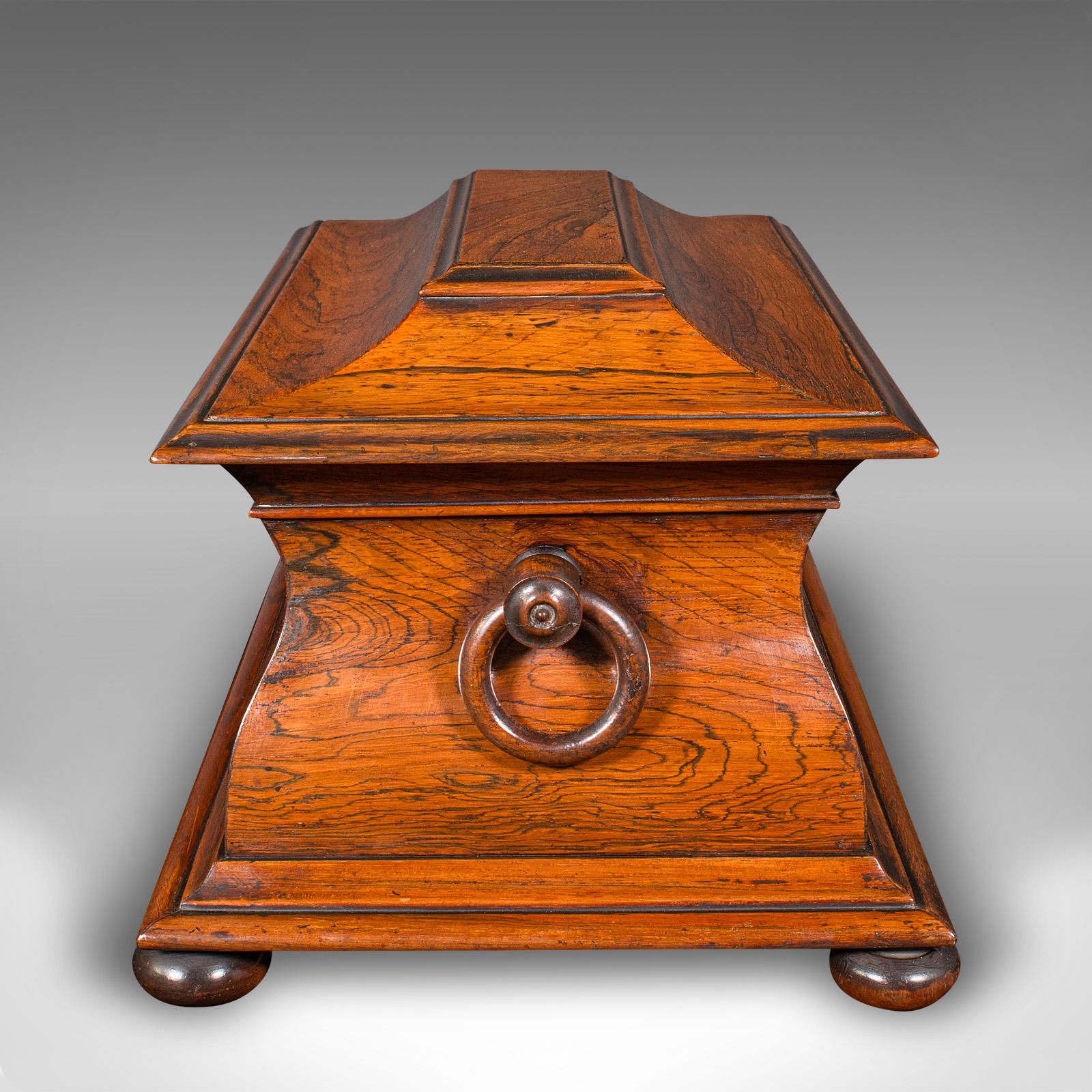 Ancienne boîte à thé à feuilles libres Sarcophagus, salle à dessin, anglaise, Régence, vers 1820 en vente 1