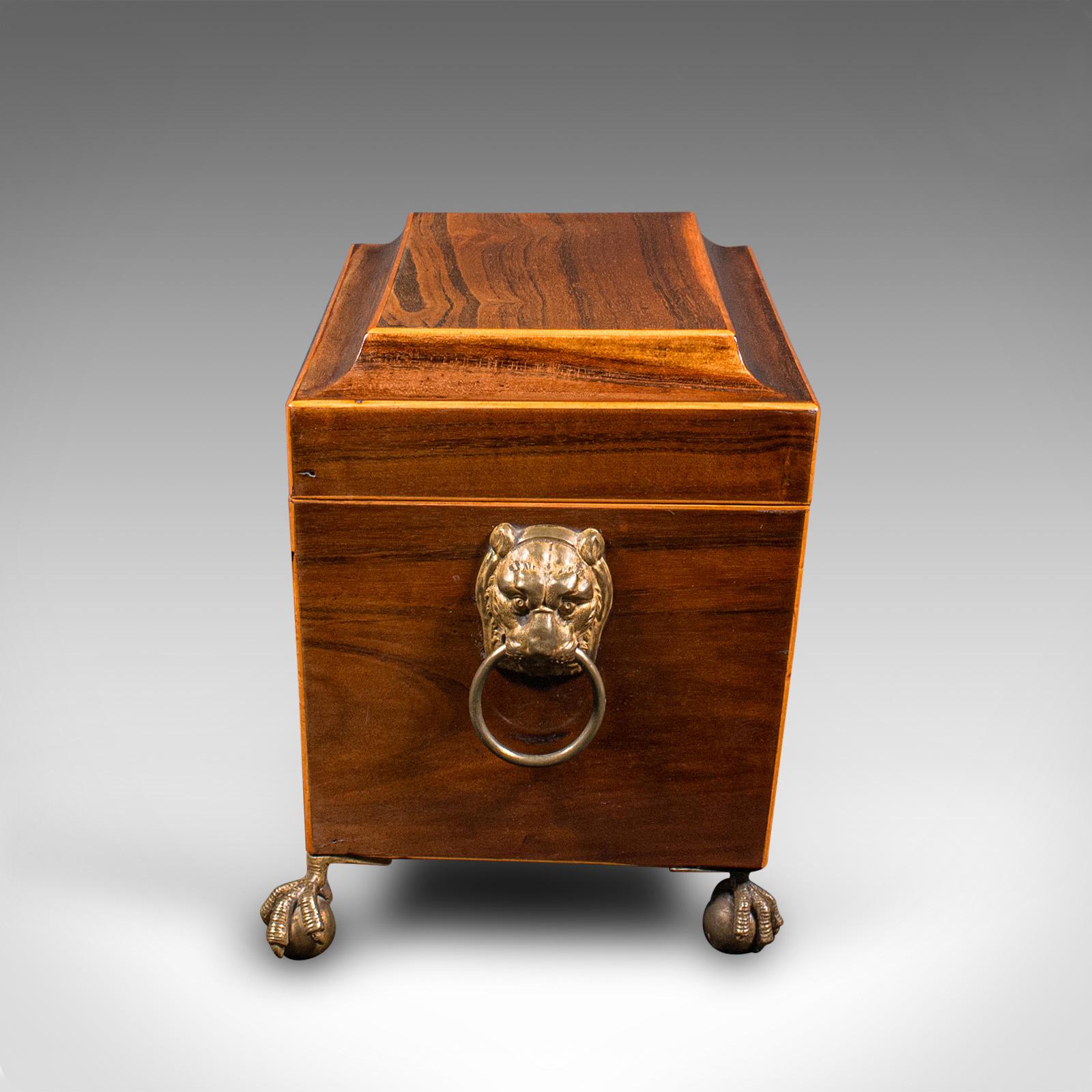 British Antique Sarcophagus Tea Caddy, English, Box, Glass Mixer, Regency, Circa 1820 For Sale