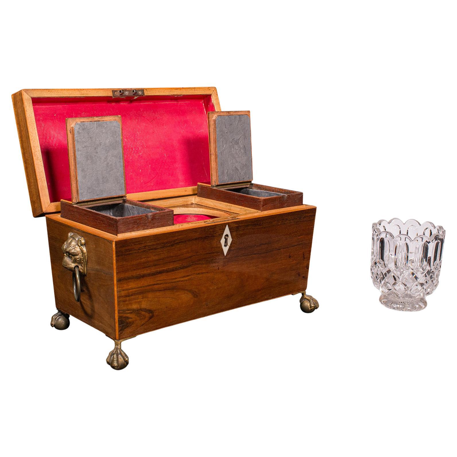 Antique Sarcophagus Tea Caddy, English, Box, Glass Mixer, Regency, Circa 1820 For Sale
