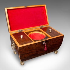 Antike Sarkophag-Teekanne, Englisch, Lose-Blatt-Kiste, William IV, CIRCA 1835