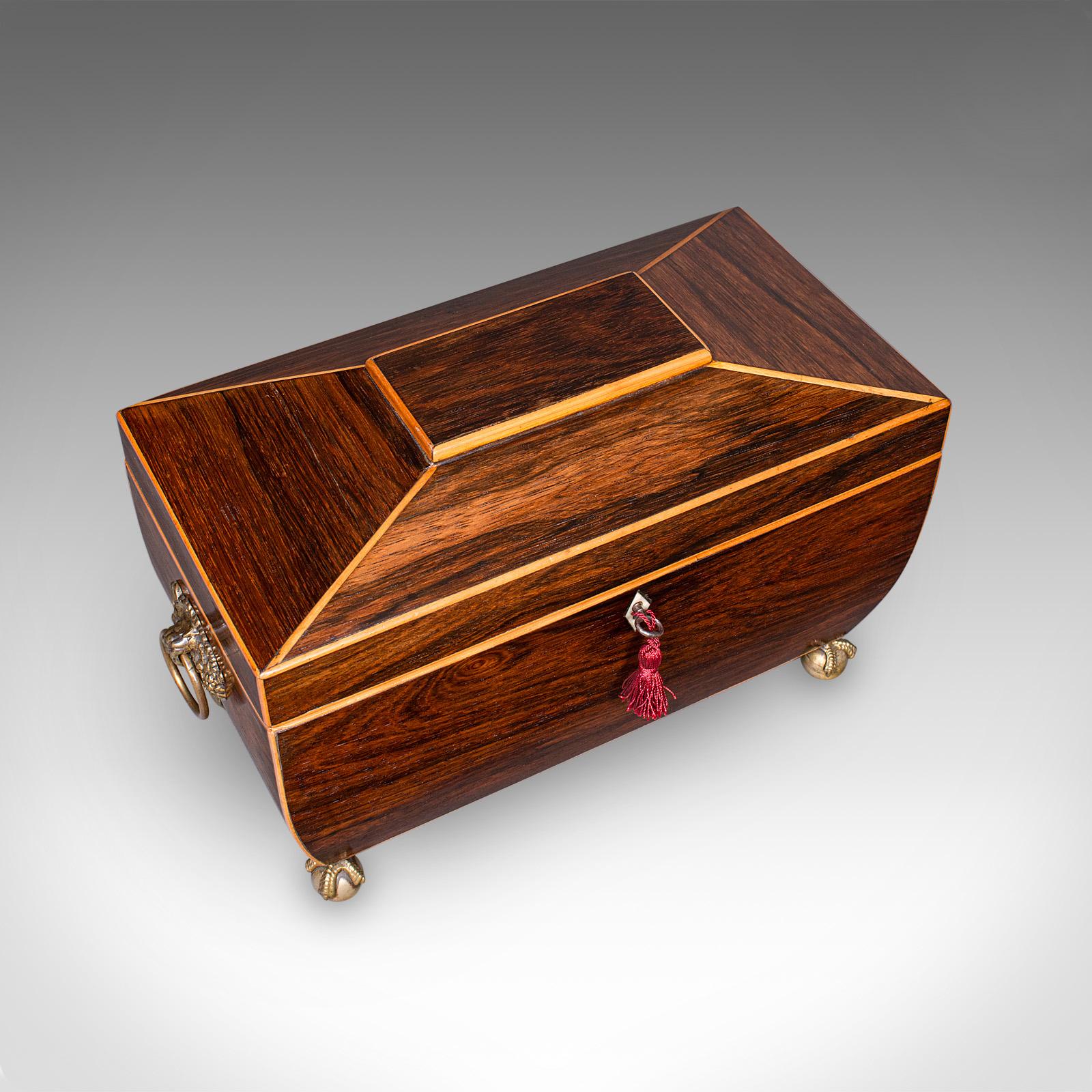 Legno massiccio Antico porta tè a sarcofago, inglese, contenitore per foglie sfuse, William IV, Circa 1835 in vendita