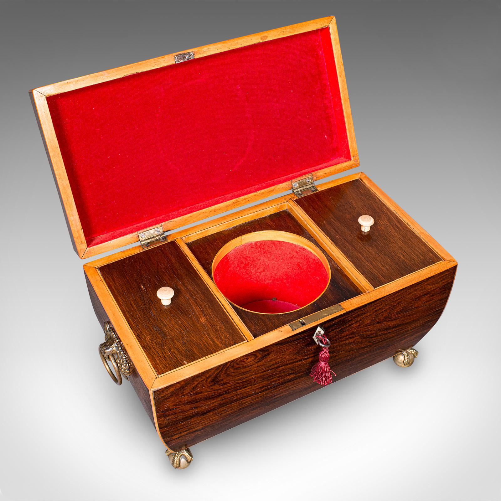 Antico porta tè a sarcofago, inglese, contenitore per foglie sfuse, William IV, Circa 1835 in vendita 1