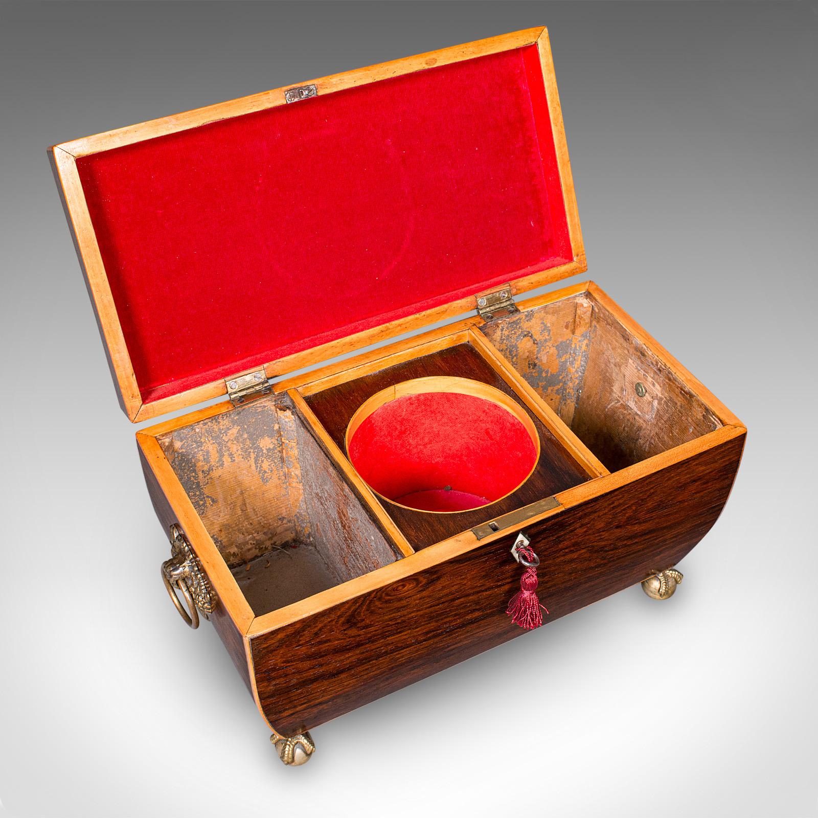 Antico porta tè a sarcofago, inglese, contenitore per foglie sfuse, William IV, Circa 1835 in vendita 2