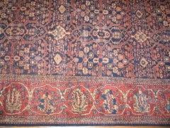 Antique Sarouk - Farahan Rug