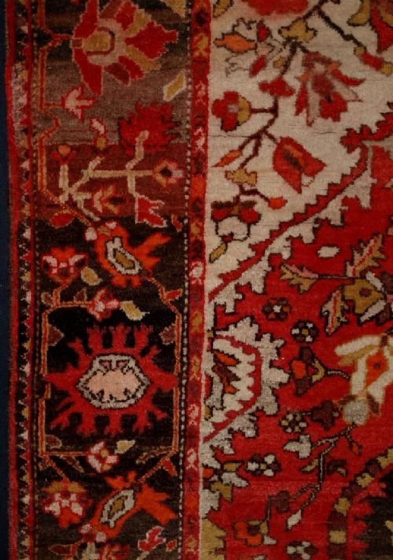 Tapis sarouk ancien
Circa 1920

Un bon tapis au design et aux couleurs sarouks classiques.

Excellent état avec une très légère usure et une bonne pile

Lavé à la main et prêt à être utilisé ou exposé

Informations complémentaires :
Lieu d'origine