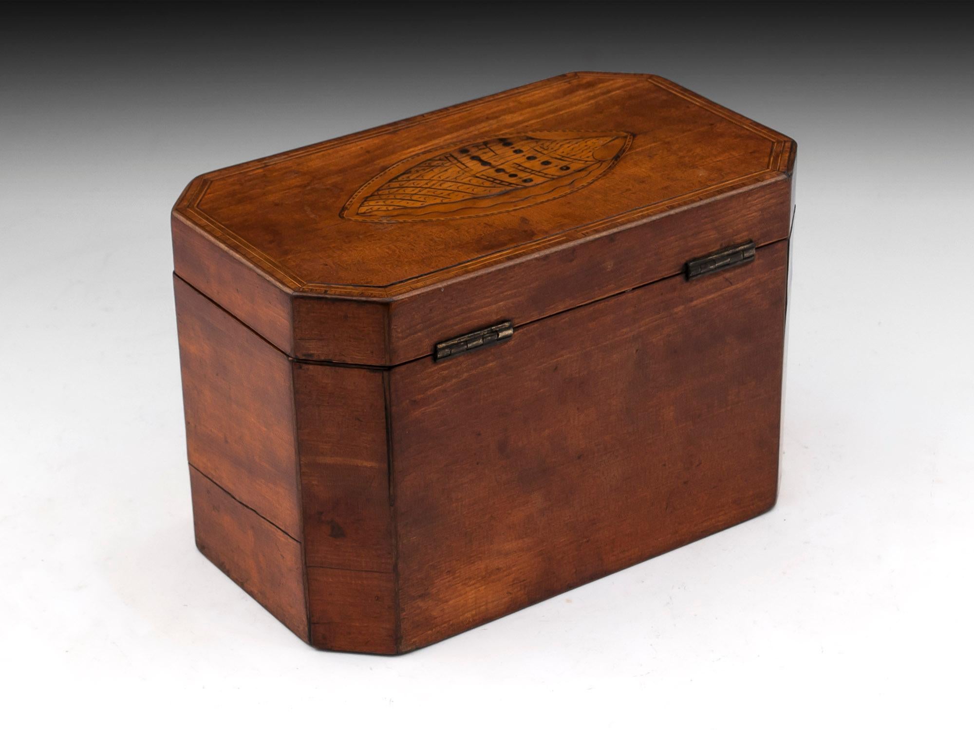 Antique Satinwood Conch Shell Double Tea Caddy, 18th Century In Good Condition For Sale In Northampton, United Kingdom