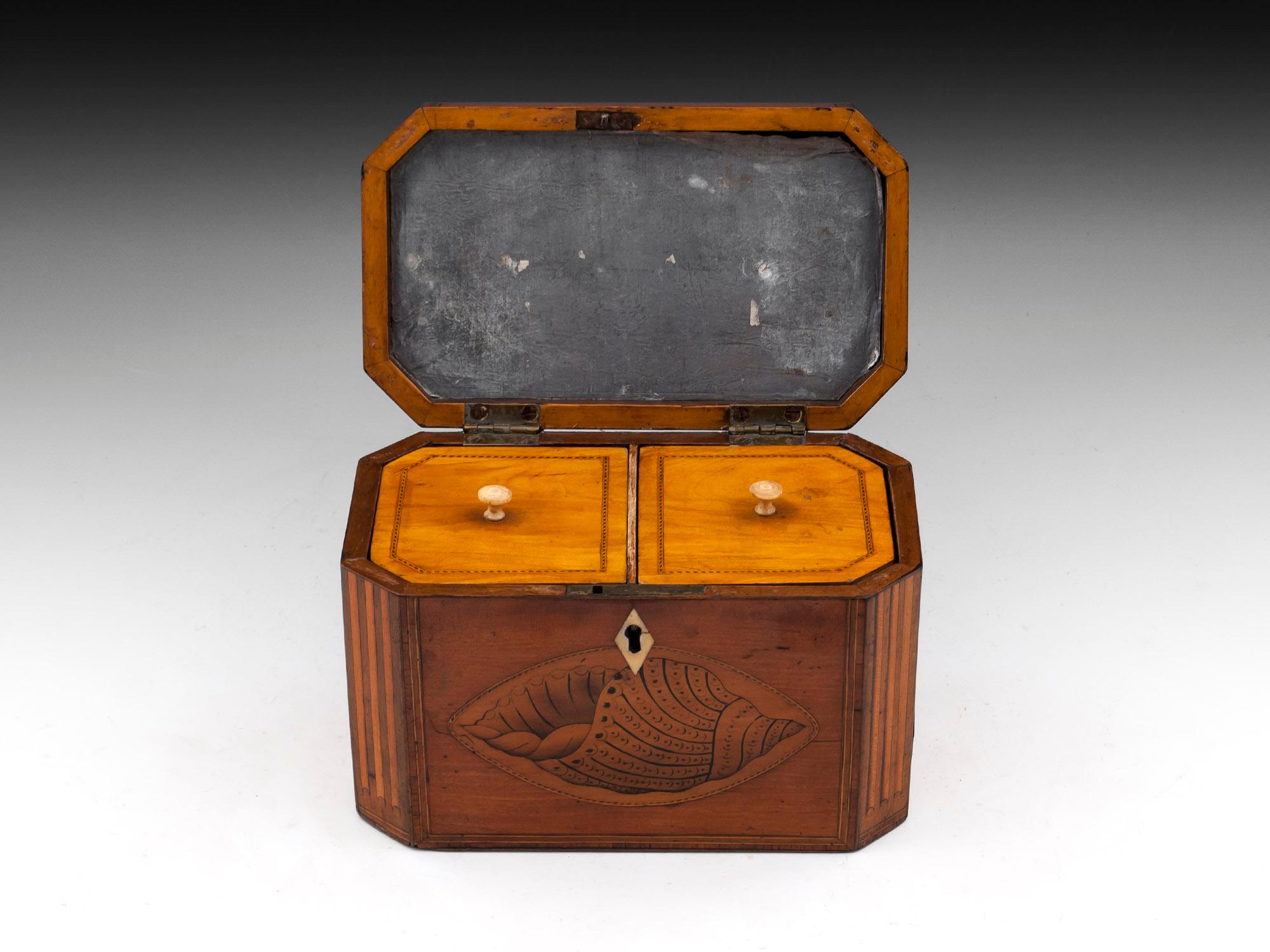 18th Century and Earlier Antique Satinwood Conch Shell Double Tea Caddy, 18th Century For Sale