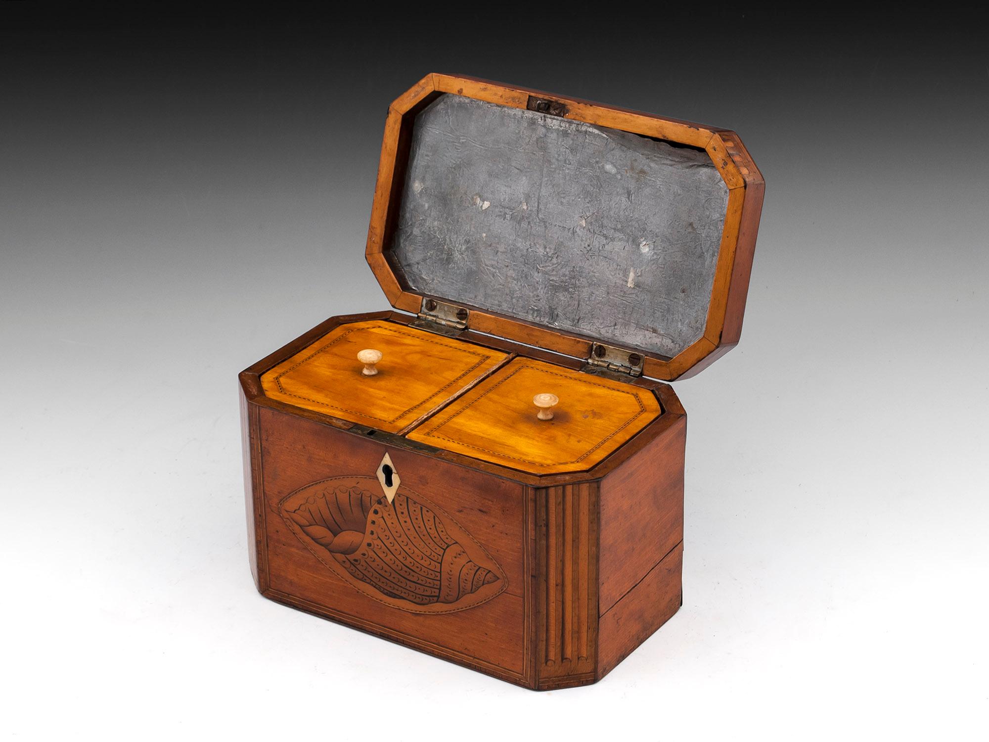 Antique Satinwood Conch Shell Double Tea Caddy, 18th Century For Sale 1