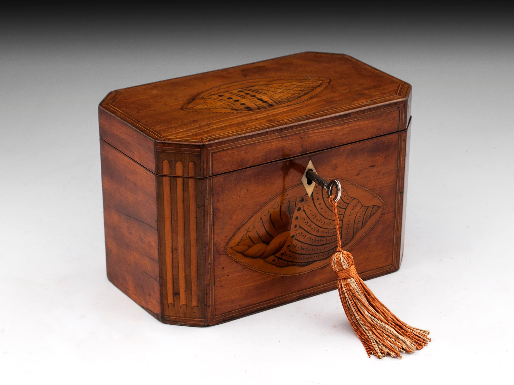 Antique Satinwood Conch Shell Double Tea Caddy, 18th Century For Sale 3