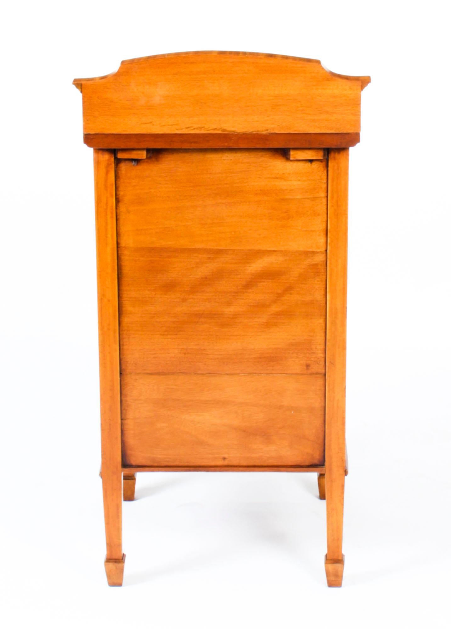 Antique Satinwood and Inlaid Bedside Cabinet, 19th Century For Sale 5