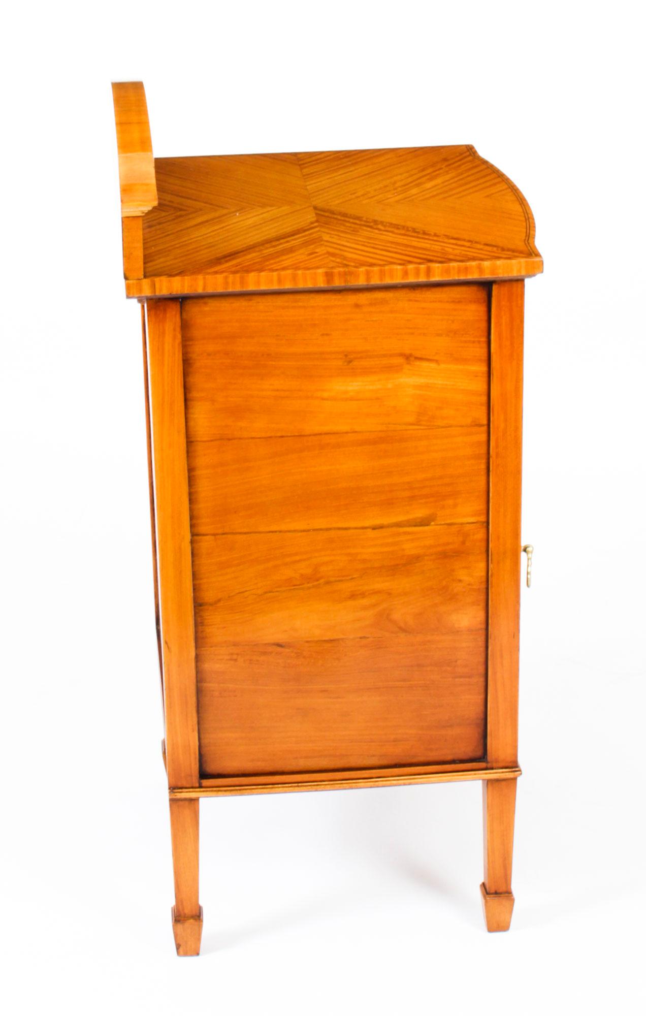 Antique Satinwood and Inlaid Bedside Cabinet, 19th Century For Sale 7