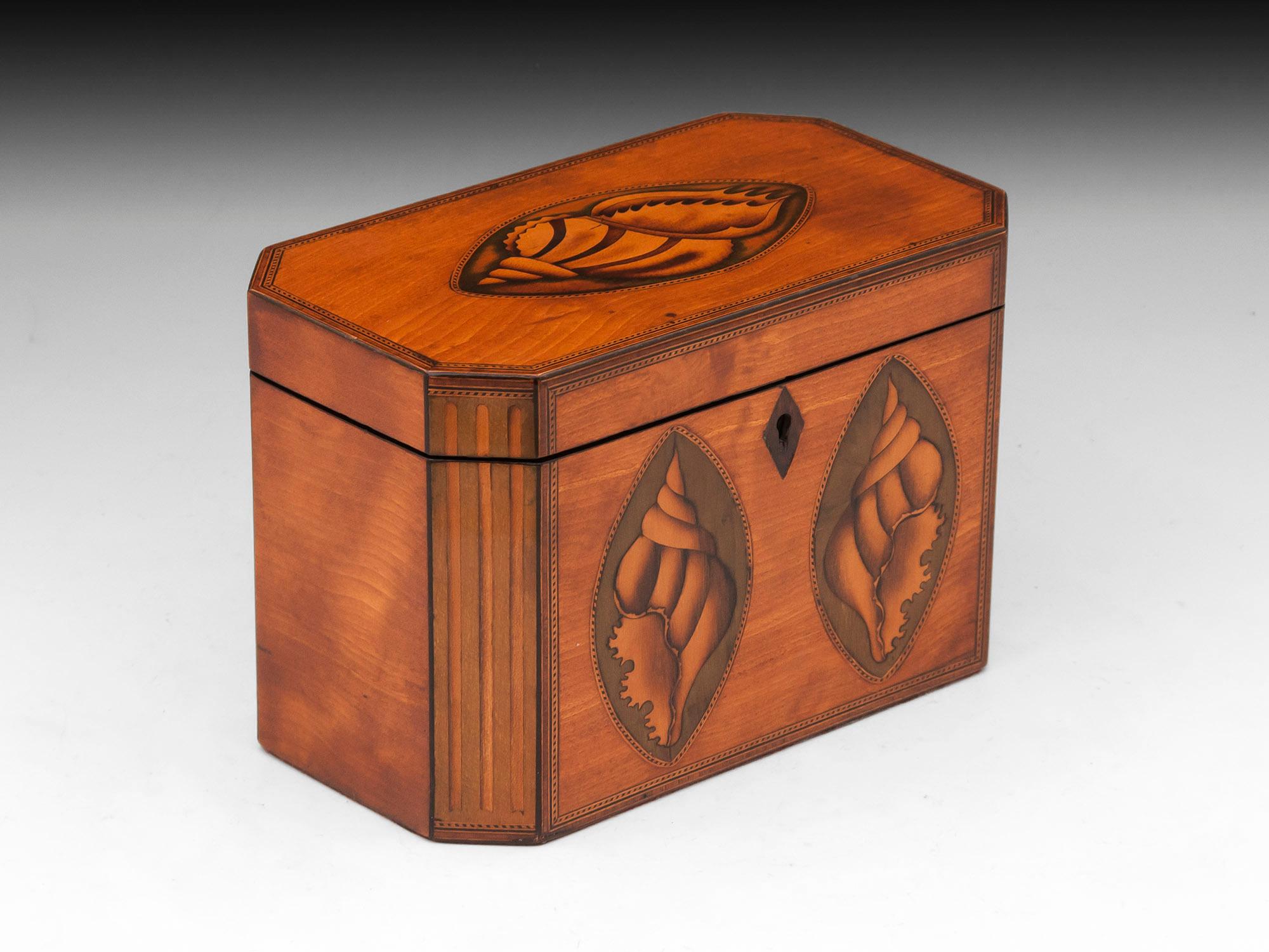 Antique Satinwood Tea Caddy In Good Condition For Sale In Northampton, United Kingdom