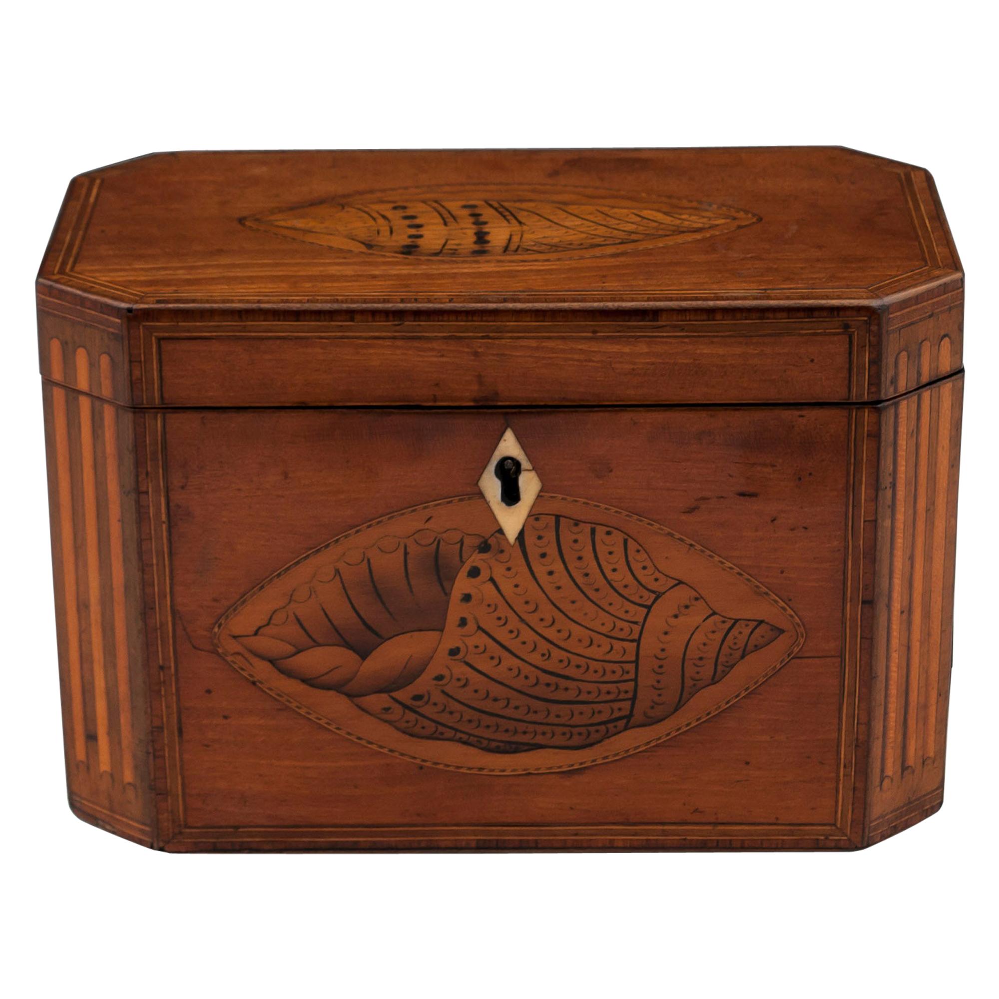 Antique Satinwood Tea Caddy For Sale