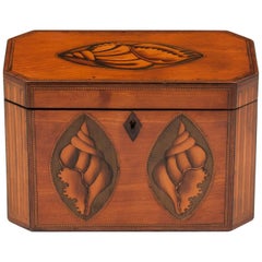Antique Satinwood Tea Caddy