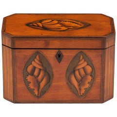 Antique Satinwood Tea Caddy