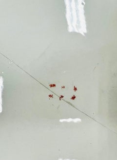 Antique Satsuma Platter Bearing Eight Scenes from O'mi District Signed