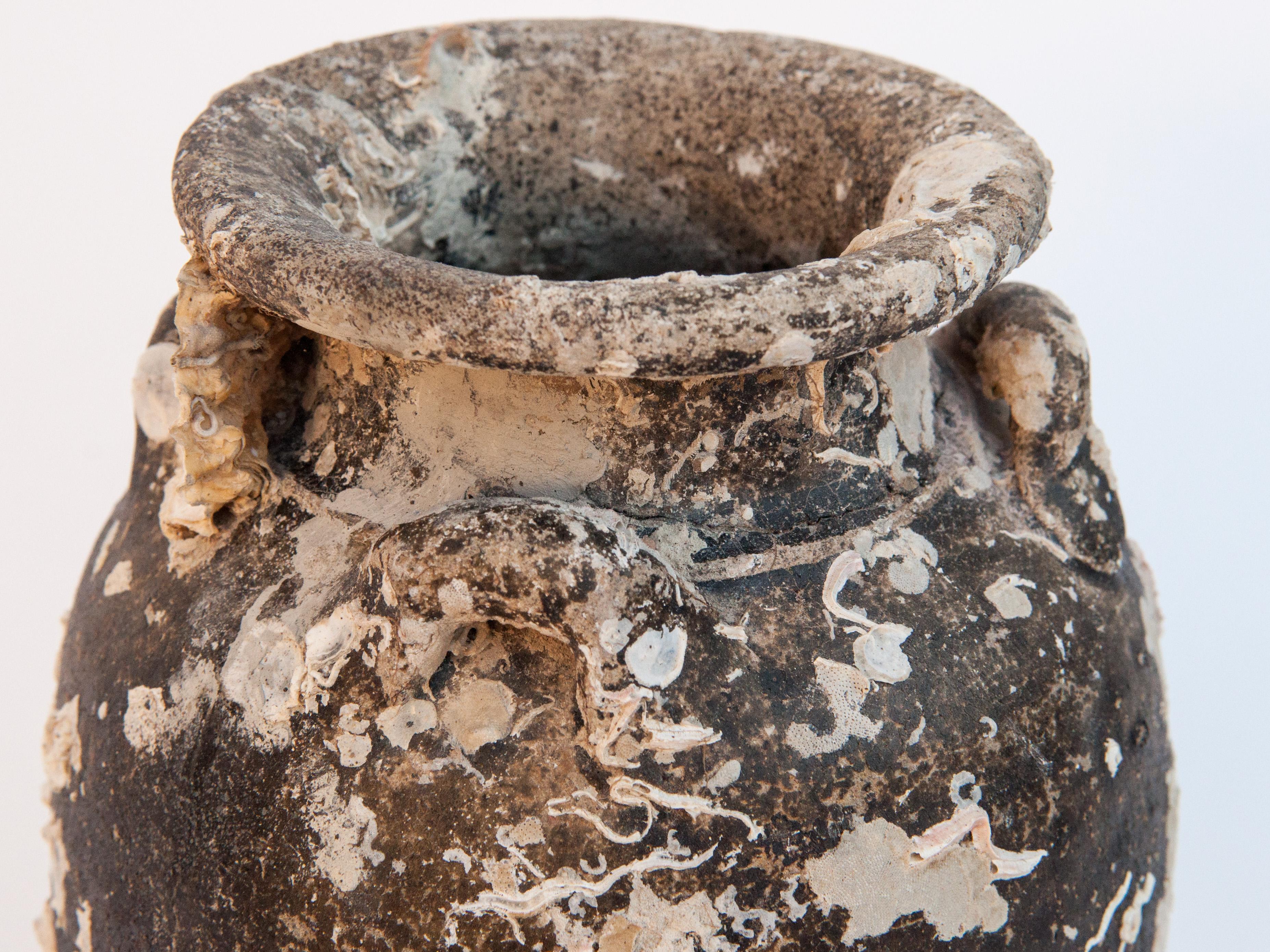 Antique Sawankhalok Jar with Encrustations, Sawankhalok, Thailand, 15th Century 4