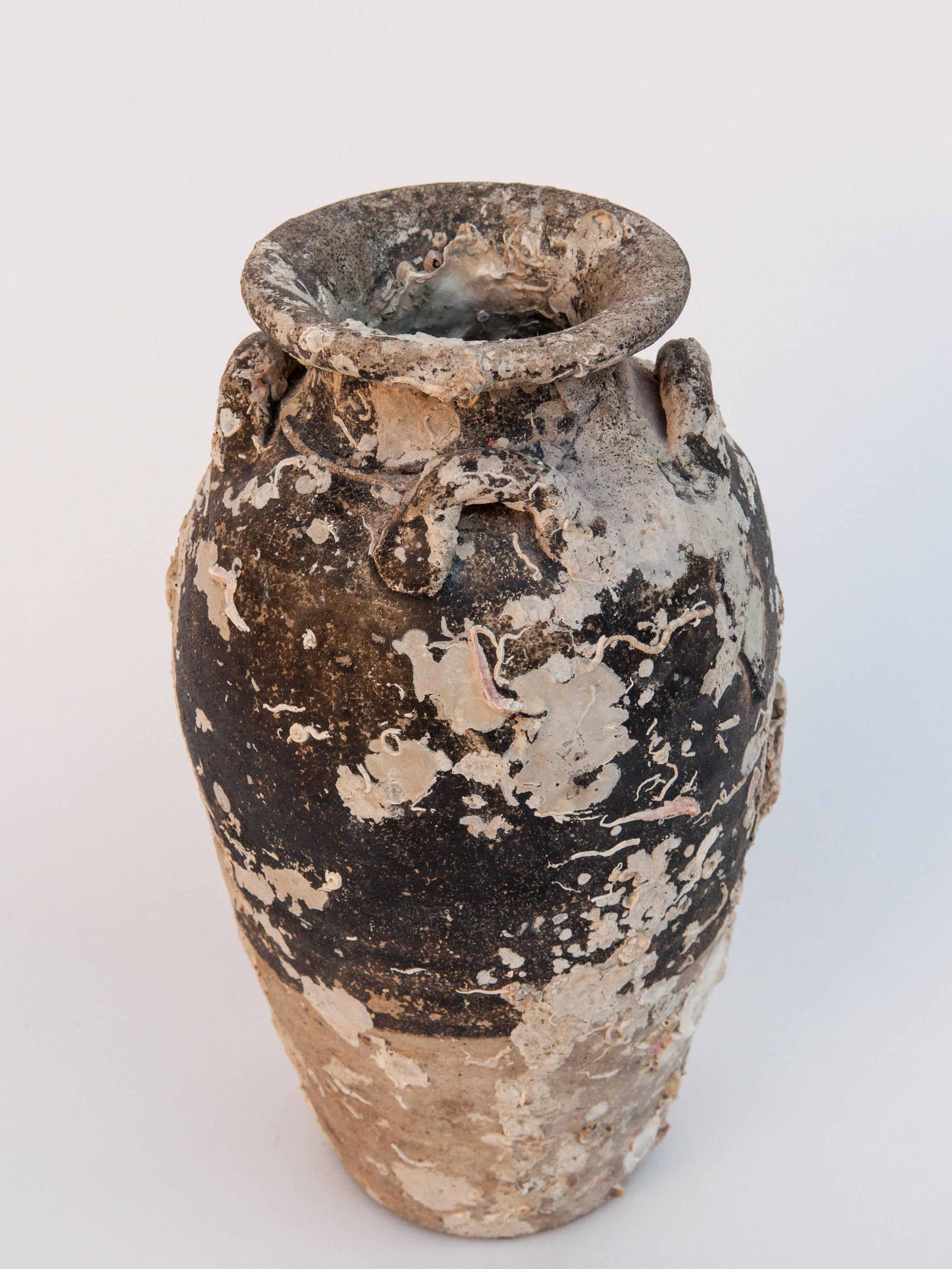 Antique Sawankhalok Jar with Encrustations, Sawankhalok, Thailand, 15th Century 5