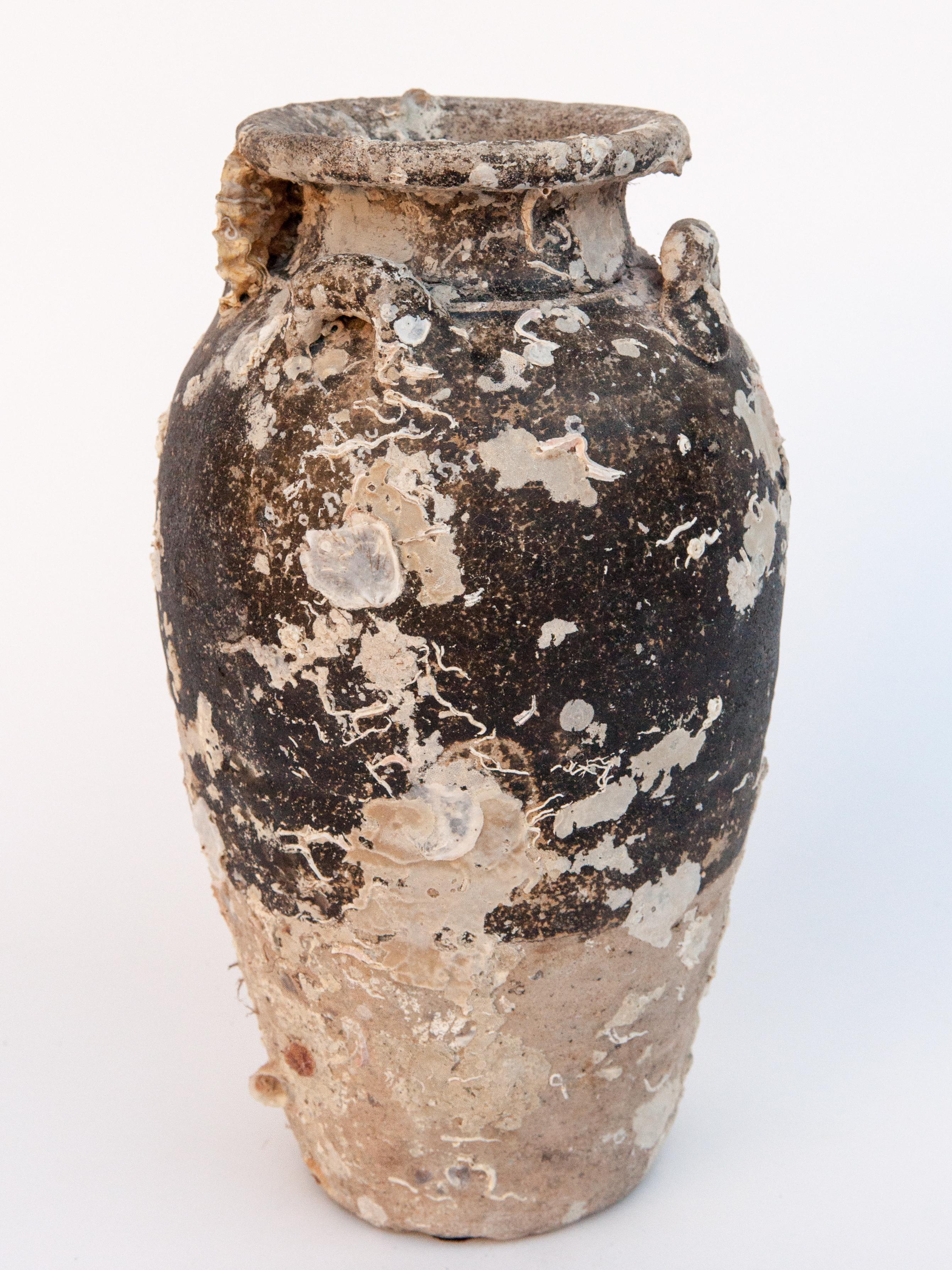 Antique Sawankhalok Jar with Encrustations, Sawankhalok, Thailand, 15th Century 1