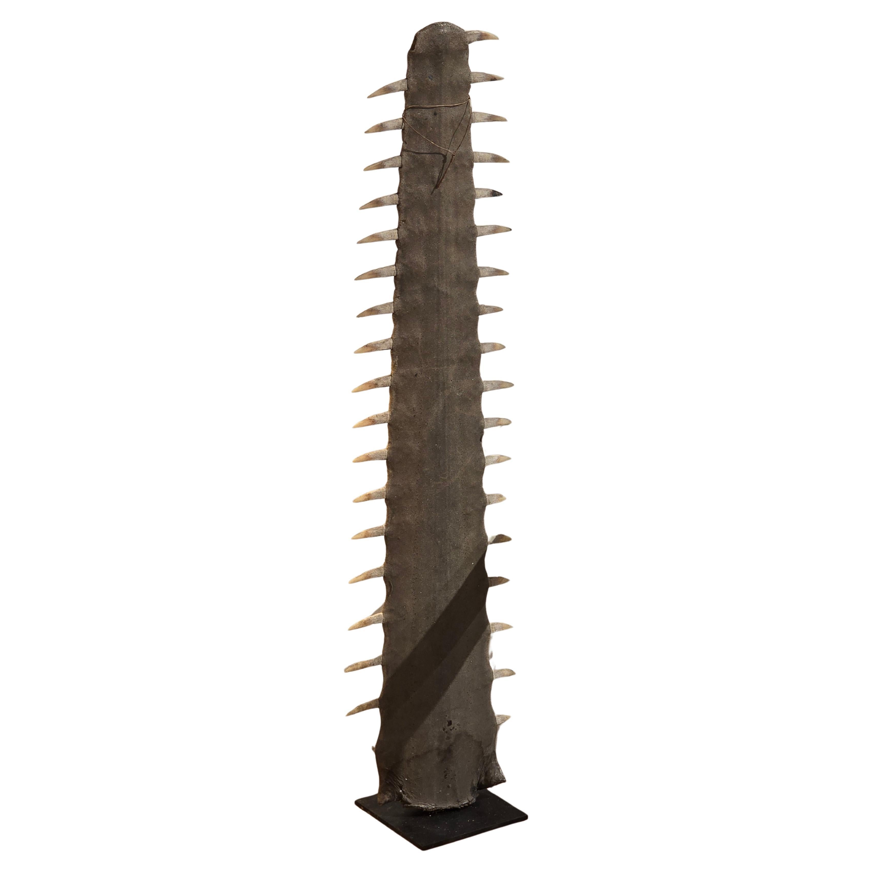 Antique Sawfish Rostrum on Stand For Sale