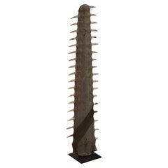 Antique Sawfish Rostrum on Stand